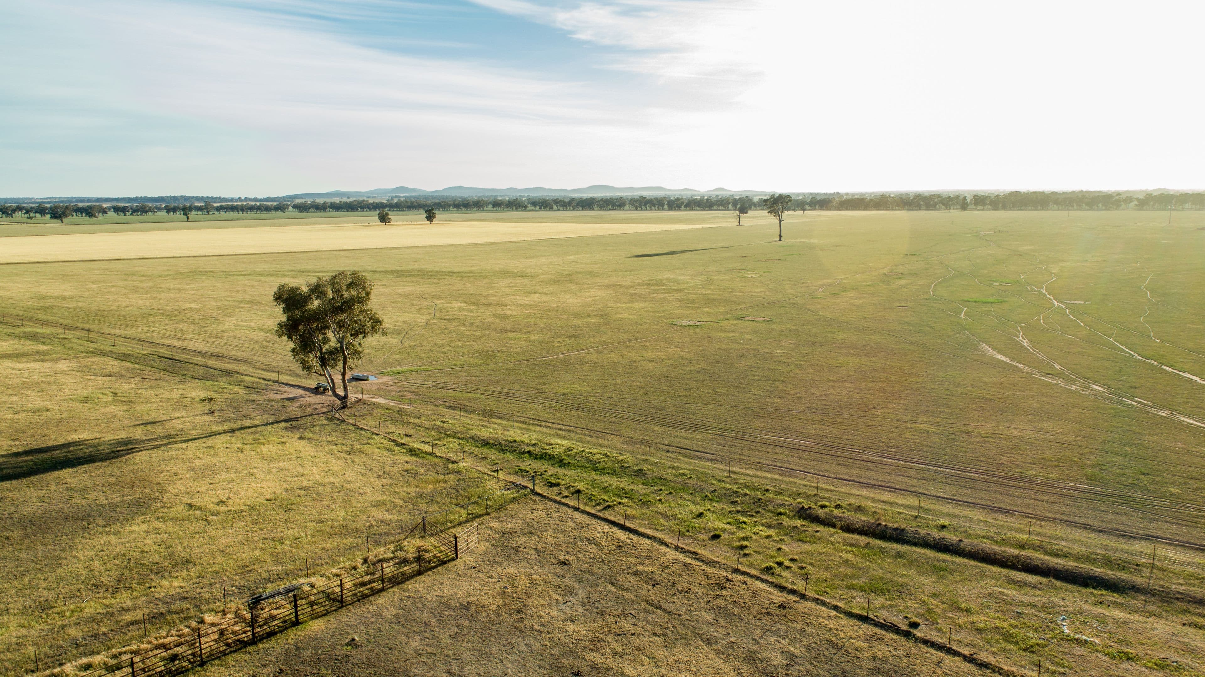 90 Thanowring School Road, Temora NSW 2666, Temora - Thumbnail 4