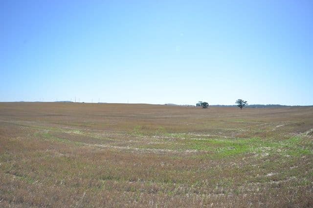 "Waterloo" Main Road 45, Waterloo SA 5413, Waterloo - Thumbnail 4