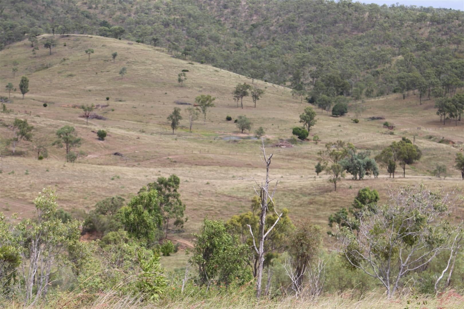 200 Morse Road, Raglan QLD 4697, Raglan - Thumbnail 3