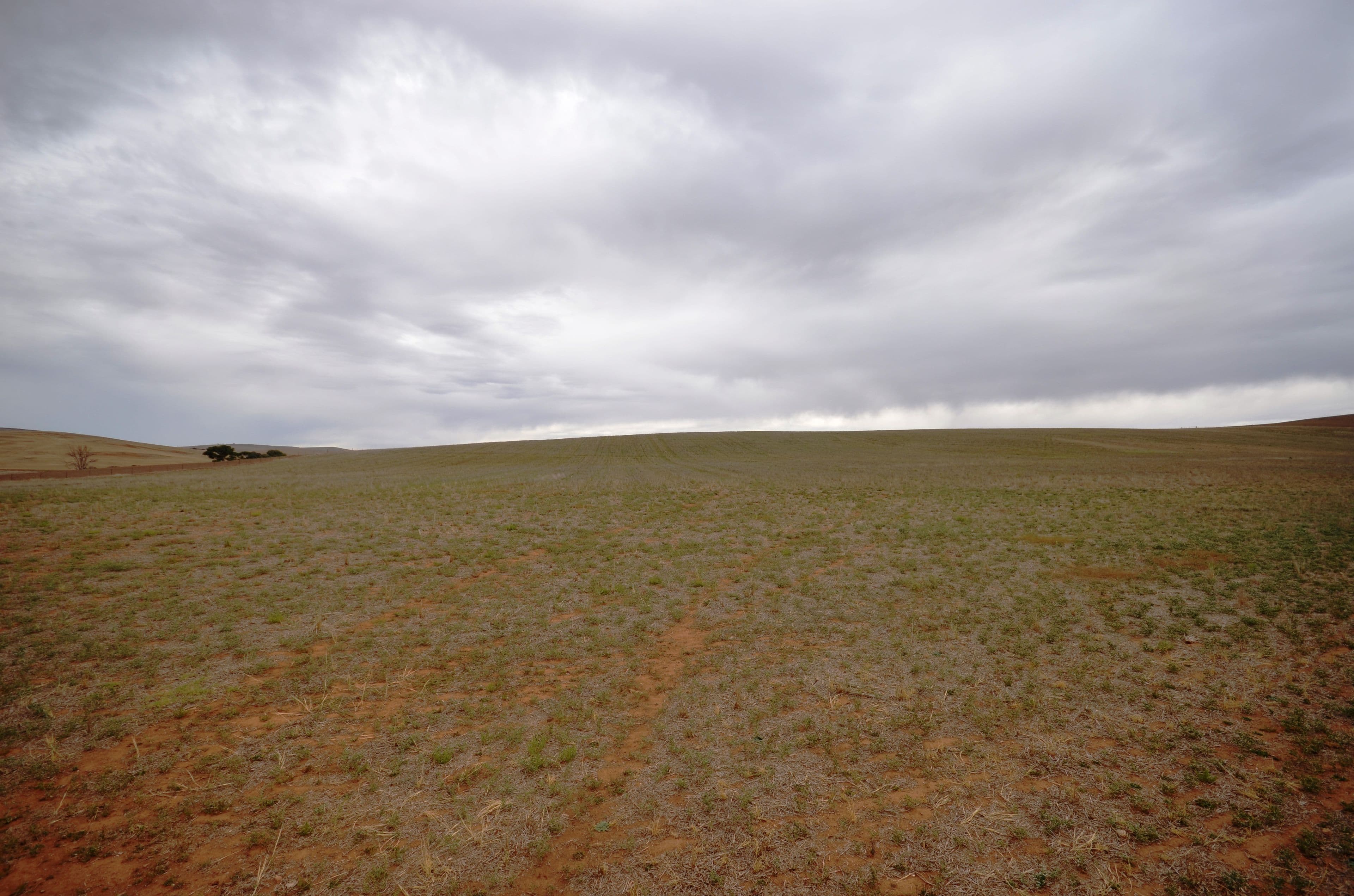 "Harveys" Pattersons Road, GULNARE SA 5471, Gulnare - Thumbnail 4
