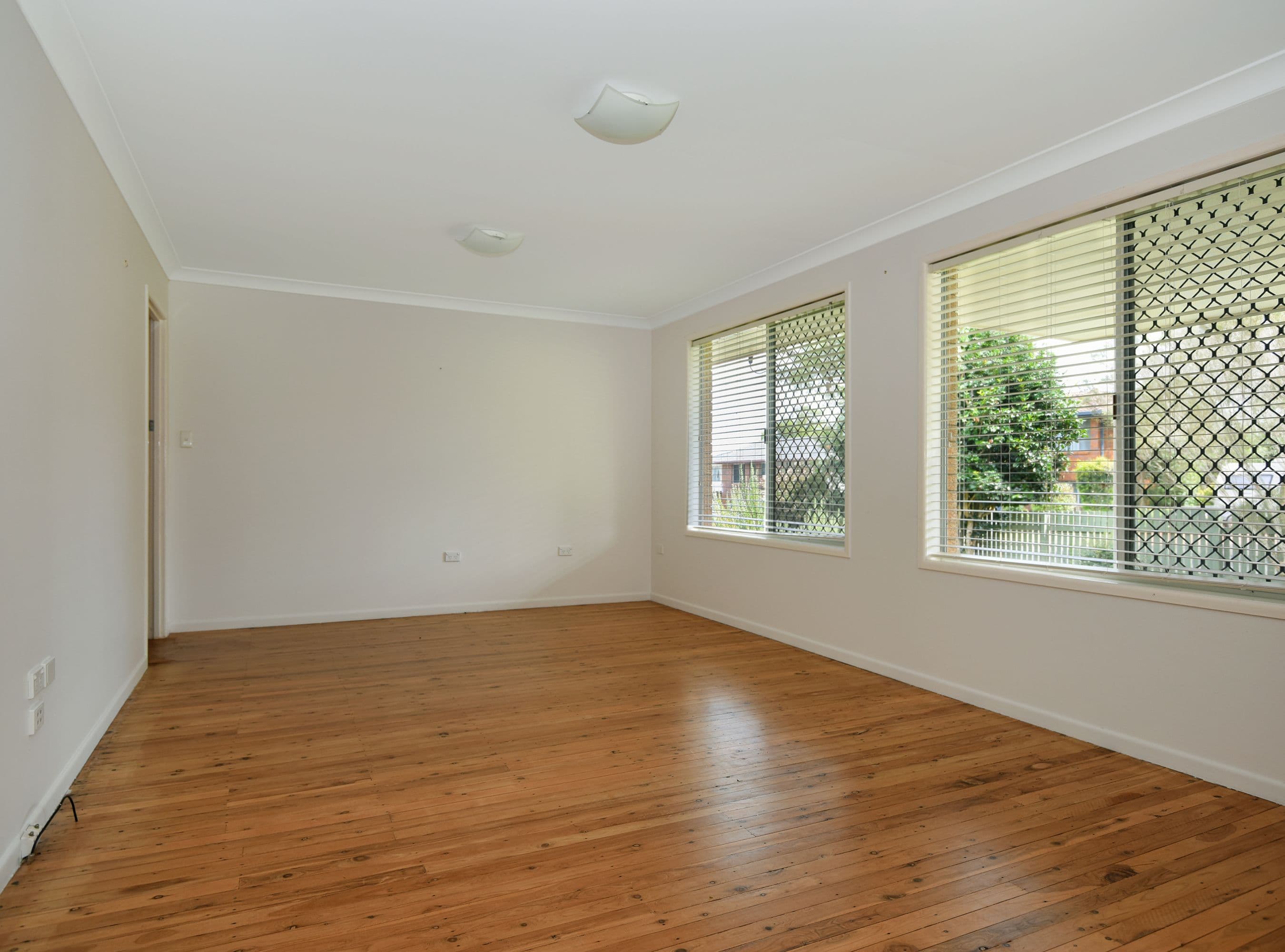 2 Naranga Street, Rangeville QLD 4350, Rangeville - Thumbnail 3