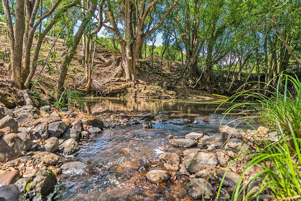 Lot 4 150 Whian Road, Eureka NSW 2480, Eureka - Thumbnail 2