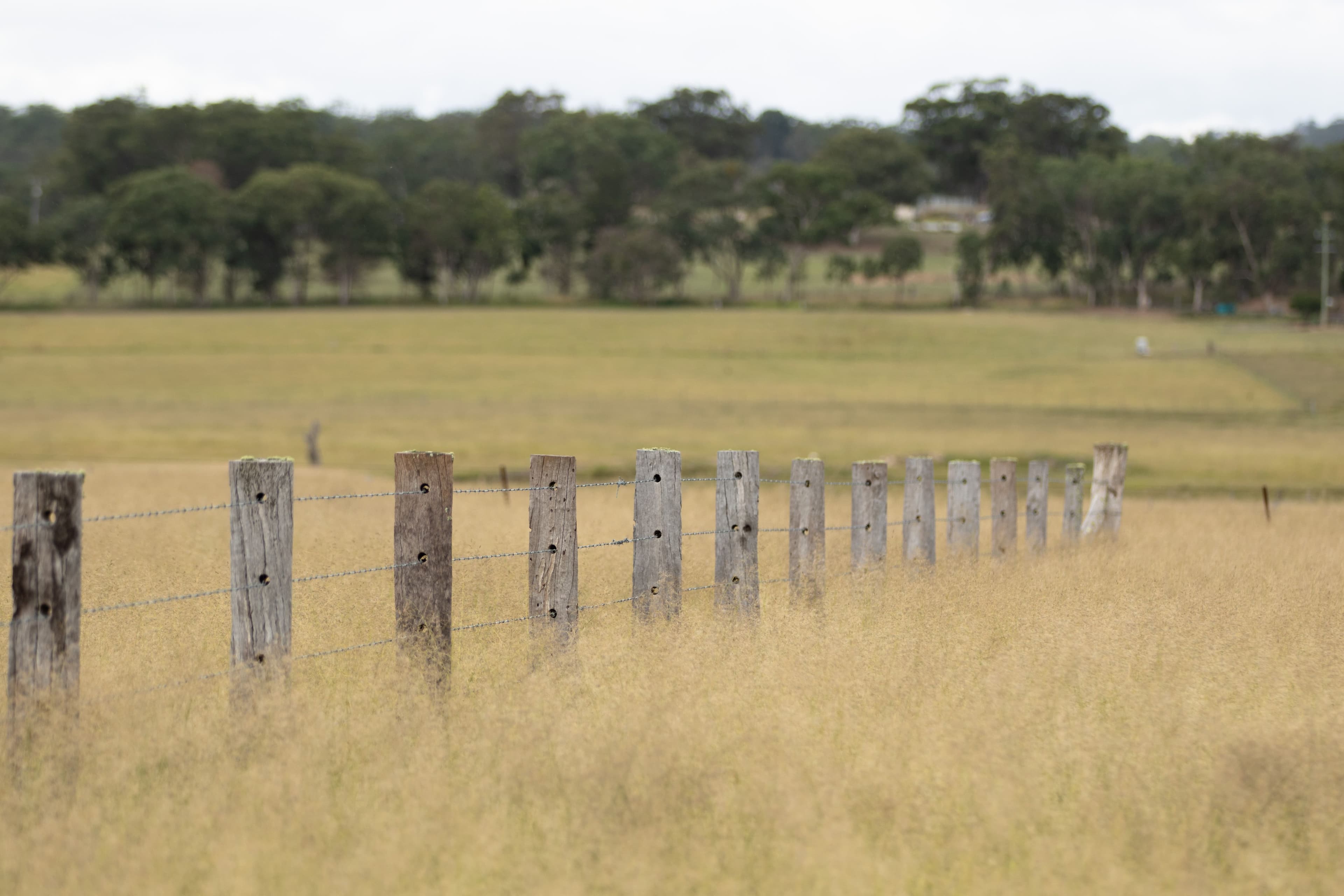 68 Ross Road, Tenterfield NSW 2372, Tenterfield - Thumbnail 4