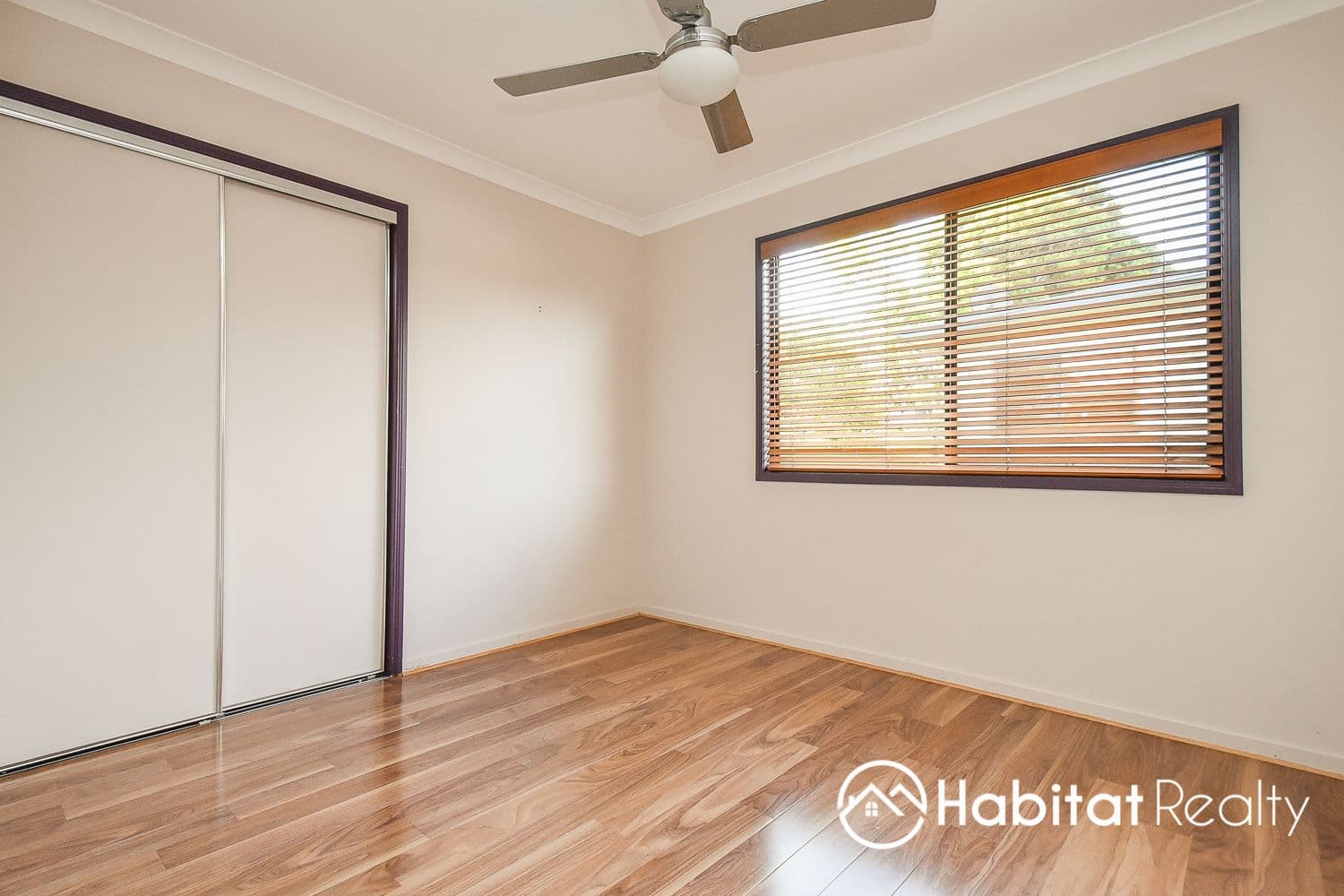 27 Tolima Drive, Tamborine Mountain QLD 4272, Tamborine Mountain - Thumbnail 4