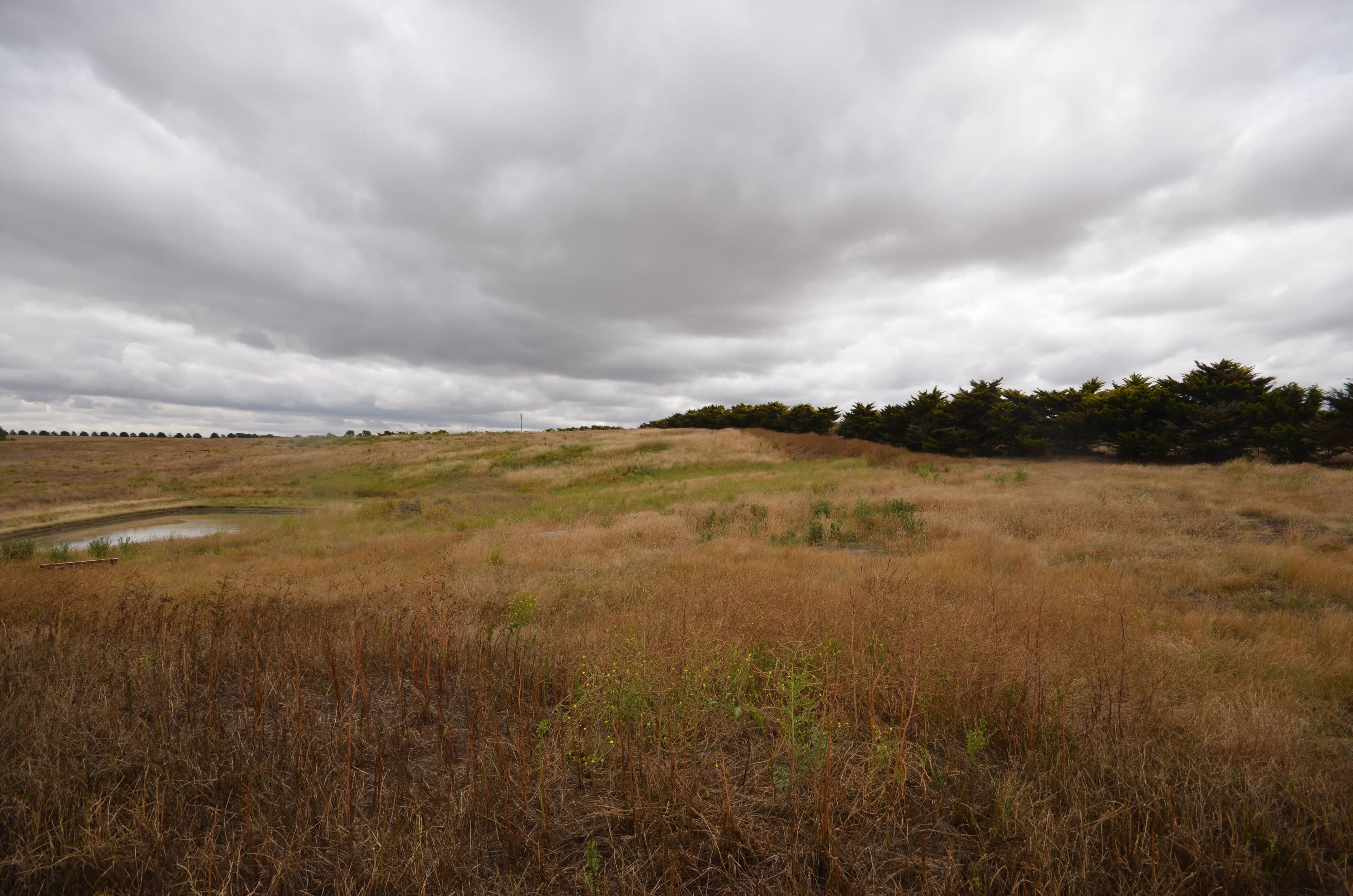 13 Pett Street, Skipton VIC 3361, Skipton - Thumbnail 6