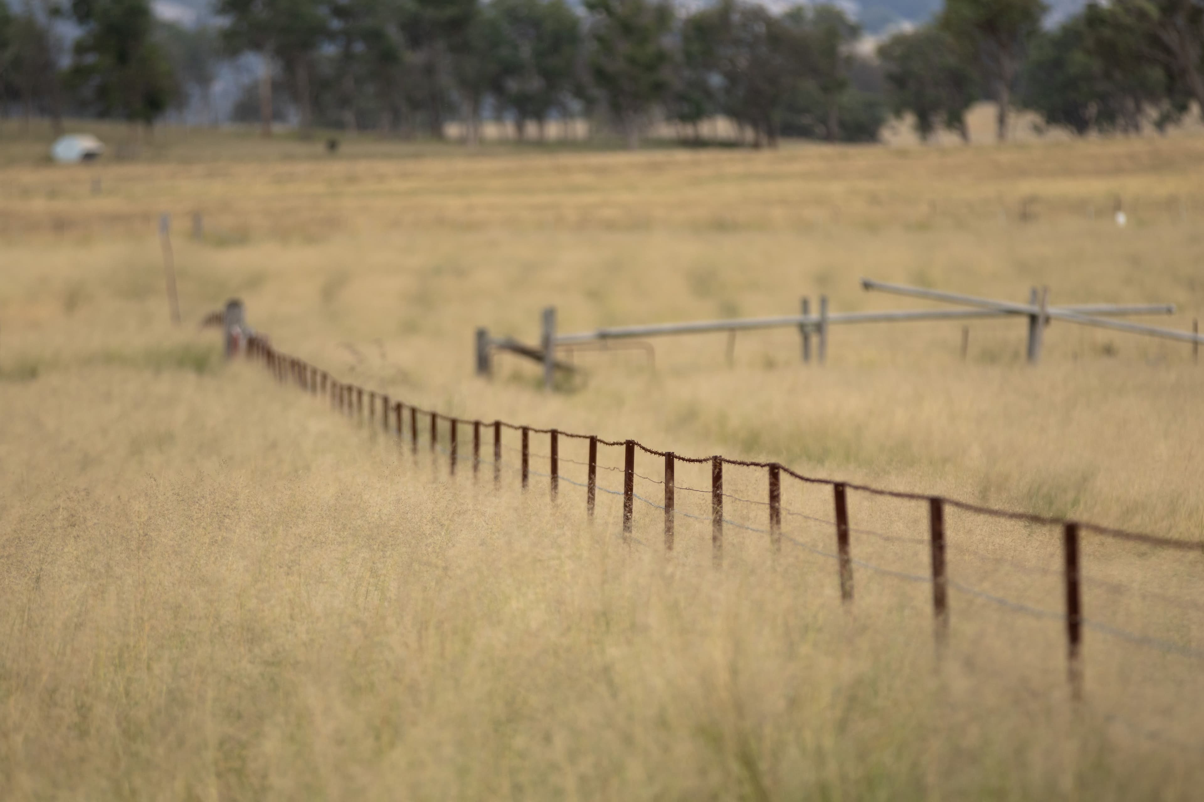 1158 Bruxner Highway, Tenterfield NSW 2372, Tenterfield - Thumbnail 7