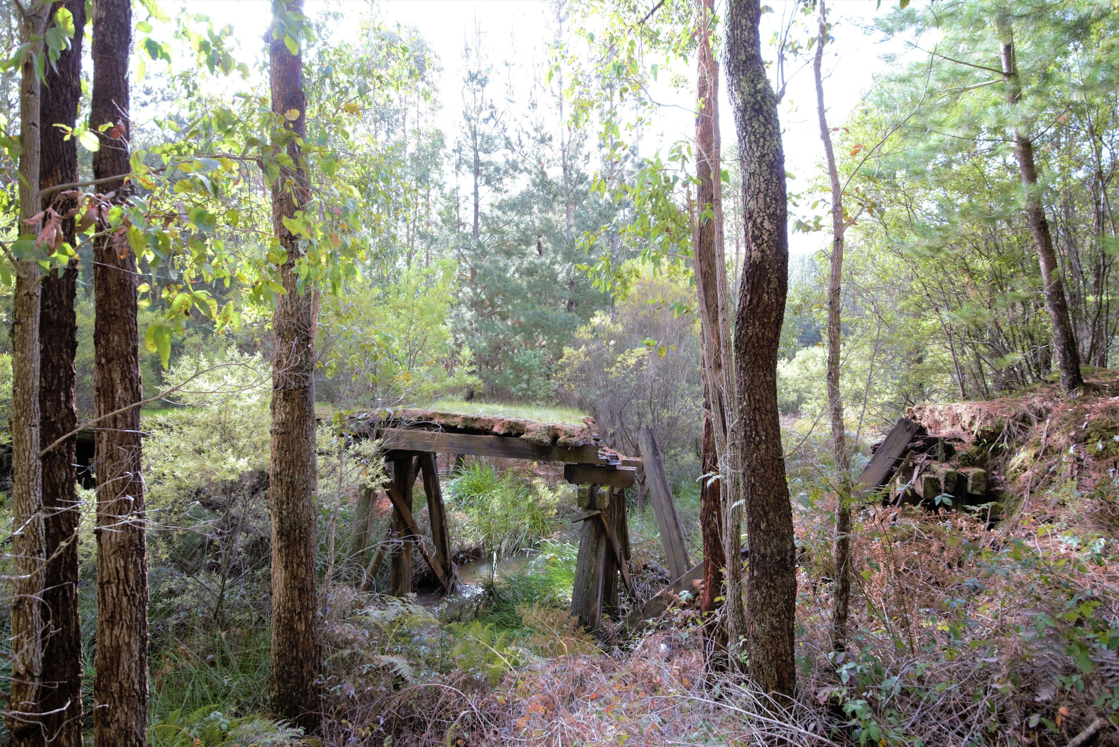 Nannup WA 6275, Nannup - Thumbnail 5