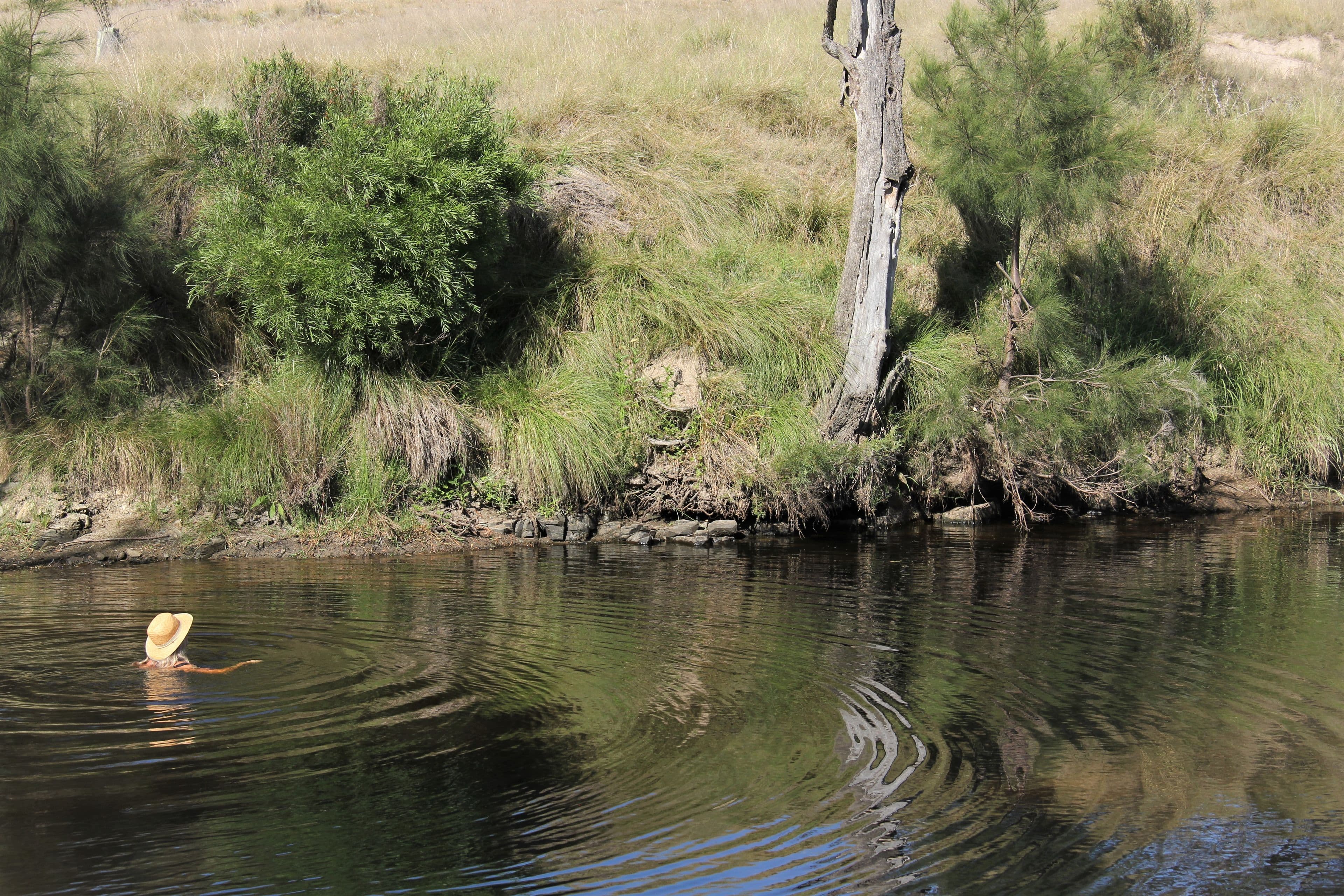 77 Tarban Loop Road, Tenterfield NSW 2372, Tenterfield - Thumbnail 2