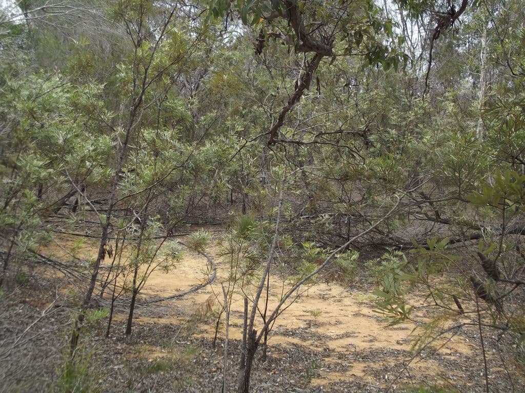 9-17 Keith Street, Burrum River QLD 4659, Burrum River - Thumbnail 5