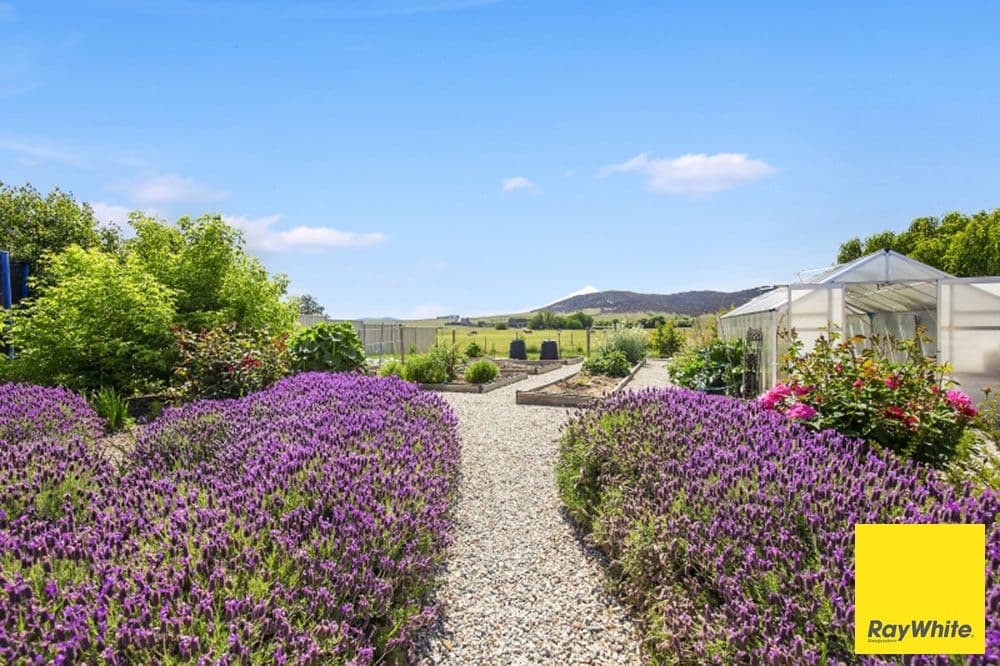 30 Mecca Lane, Bungendore - Thumbnail 2