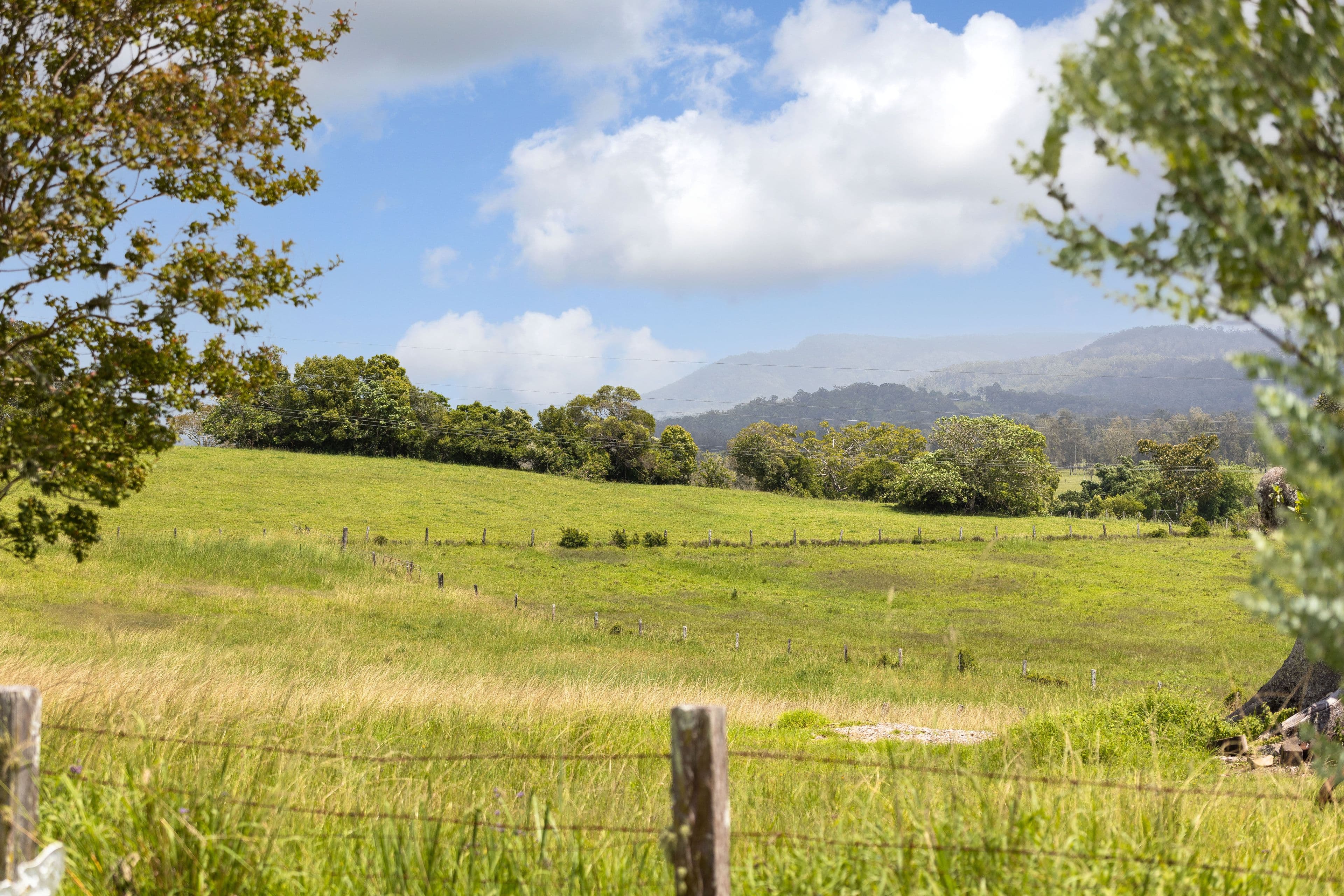 53 Macquarie Street, Coopernook NSW 2426, Coopernook - Thumbnail 6