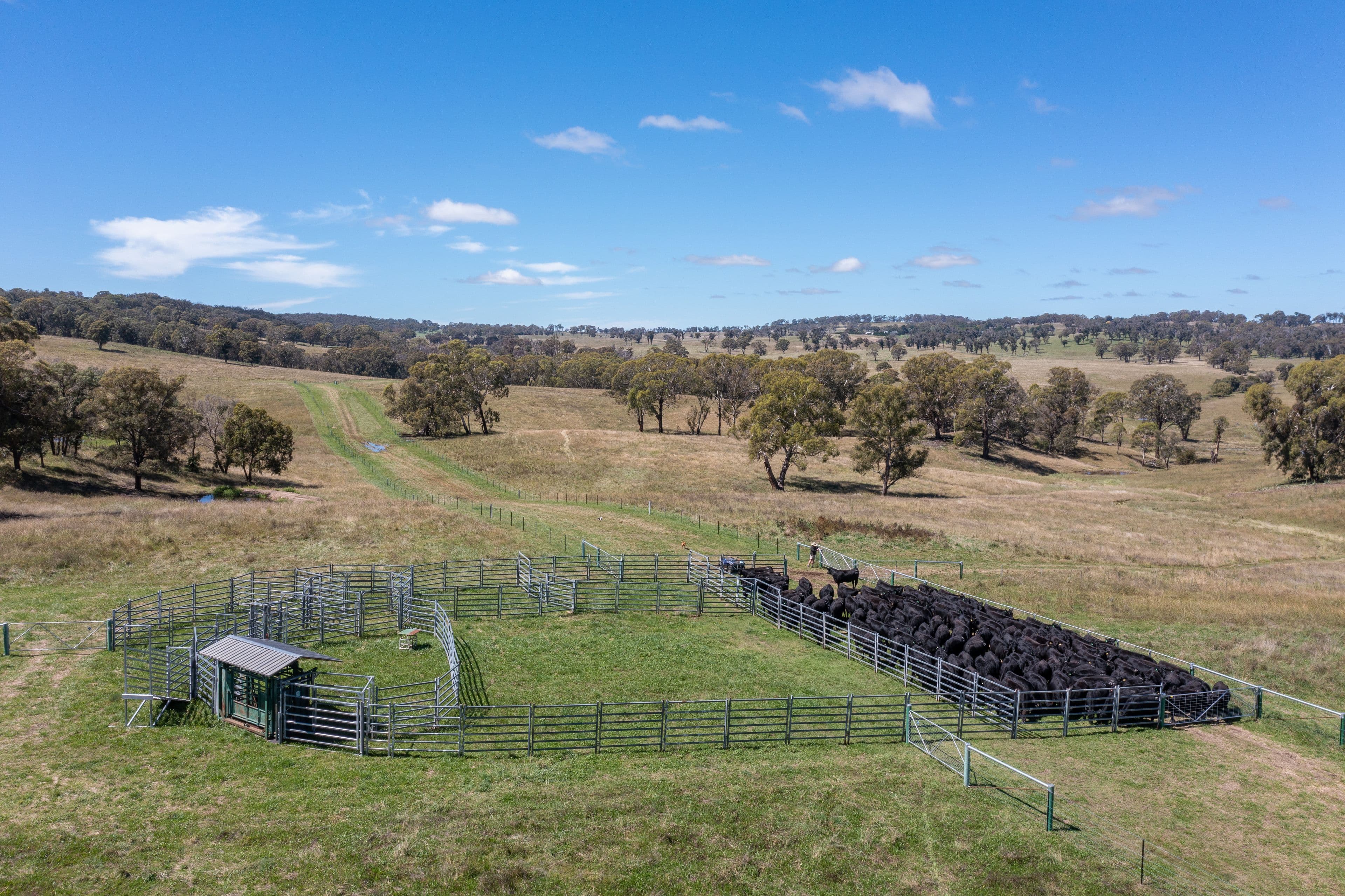 479 Whans Road, Llangothlin NSW 2365, Llangothlin - Image 1