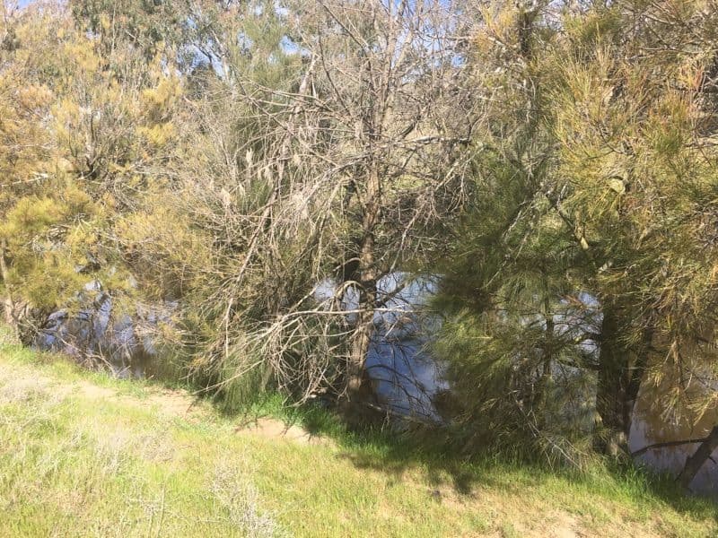 368 Kangaroo Mount Road, Coolac NSW 2727, Coolac - Thumbnail 4