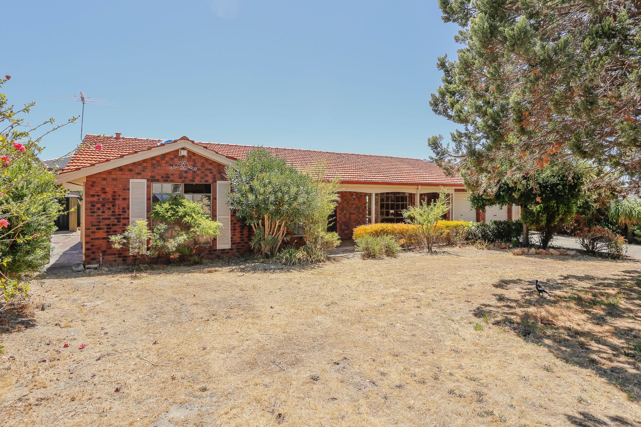 28 Cornhill Crescent, Alexander Heights WA 6064, Alexander Heights - Image 1
