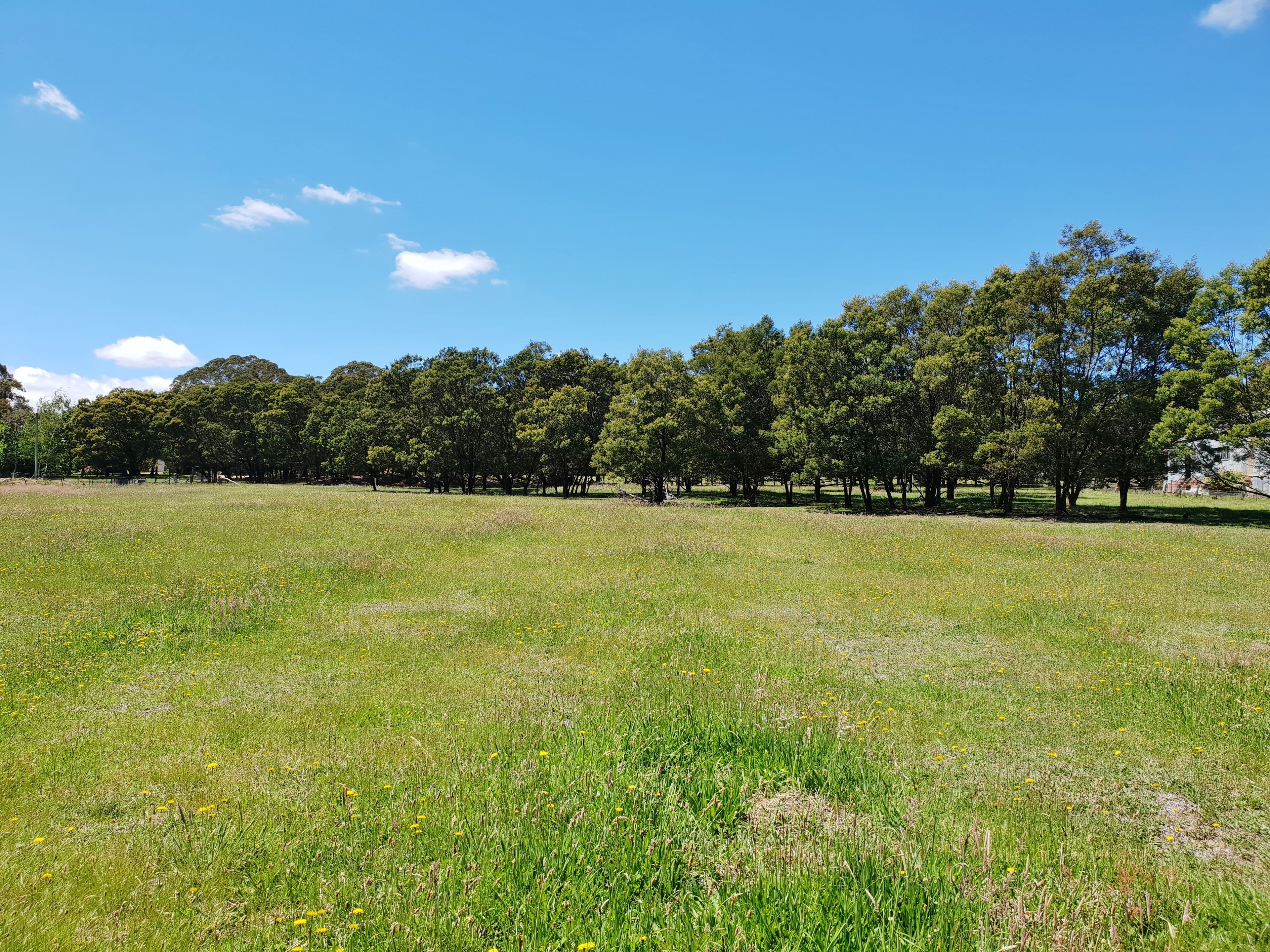2 Roberts Street, Majors Creek NSW 2622, Majors Creek - Thumbnail 6