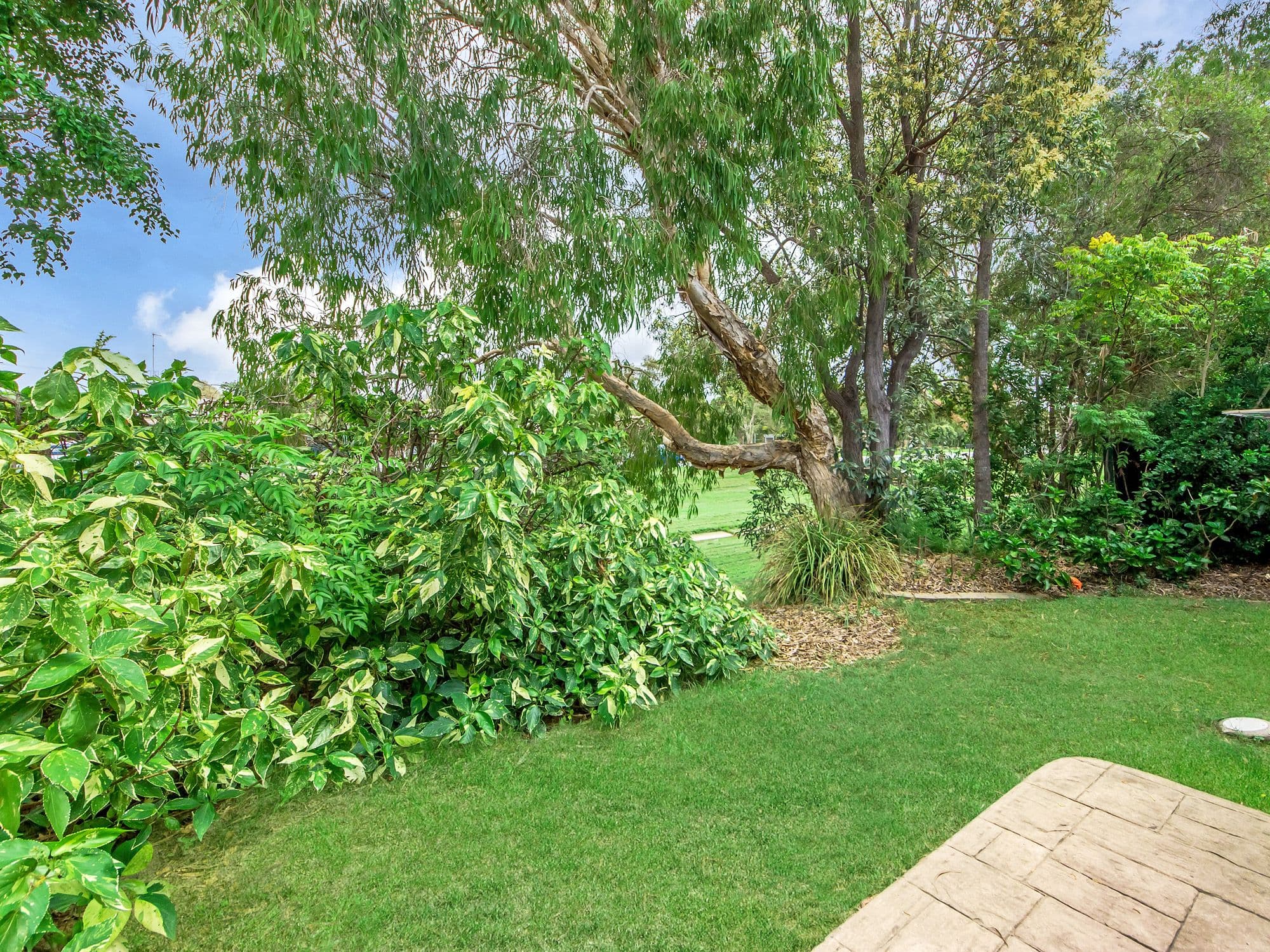 2 Birch Court, Oxenford QLD 4210, Oxenford - Thumbnail 8