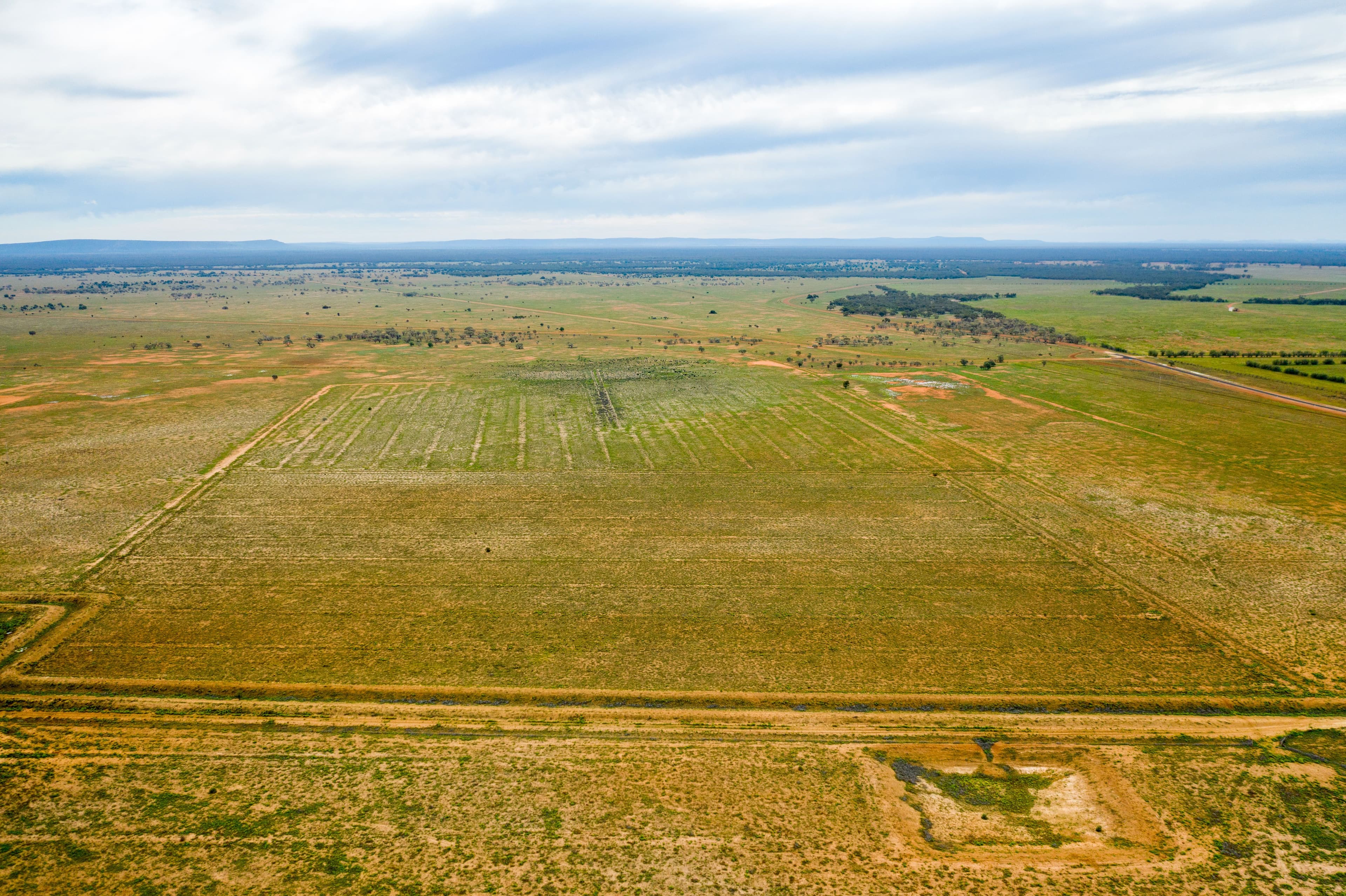 3297 Roto Road, Hillston NSW 2675, Hillston - Thumbnail 5