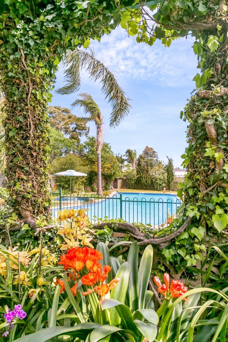 44 Eyre Street, Seaview Downs SA 5049, Seaview Downs - Thumbnail 8
