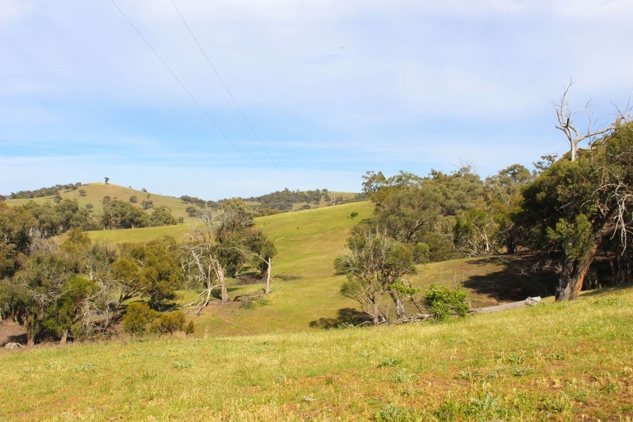 2529 Sofala Road, Bathurst NSW 2795, Bathurst - Thumbnail 6