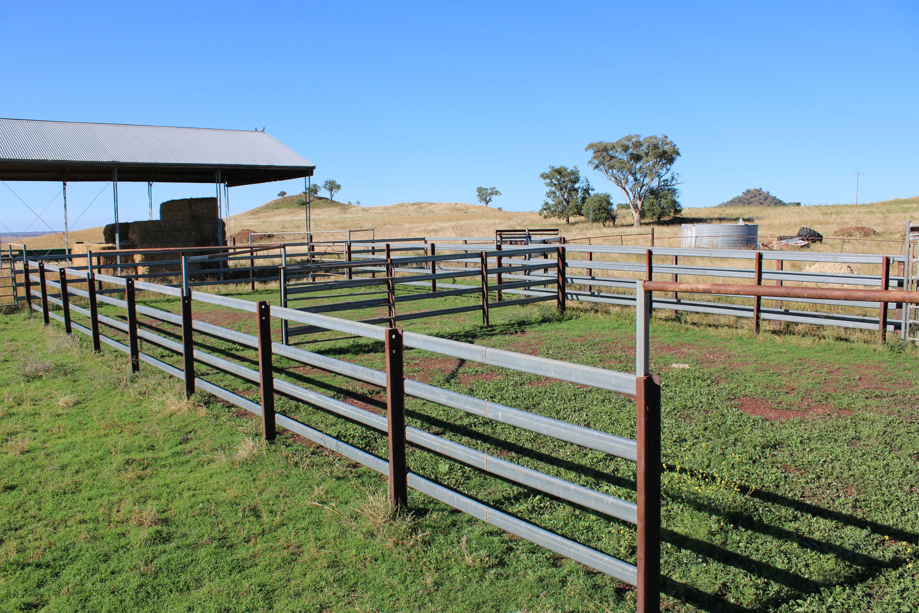 1 Glenesk Road, Delungra NSW 2403, Delungra - Thumbnail 8