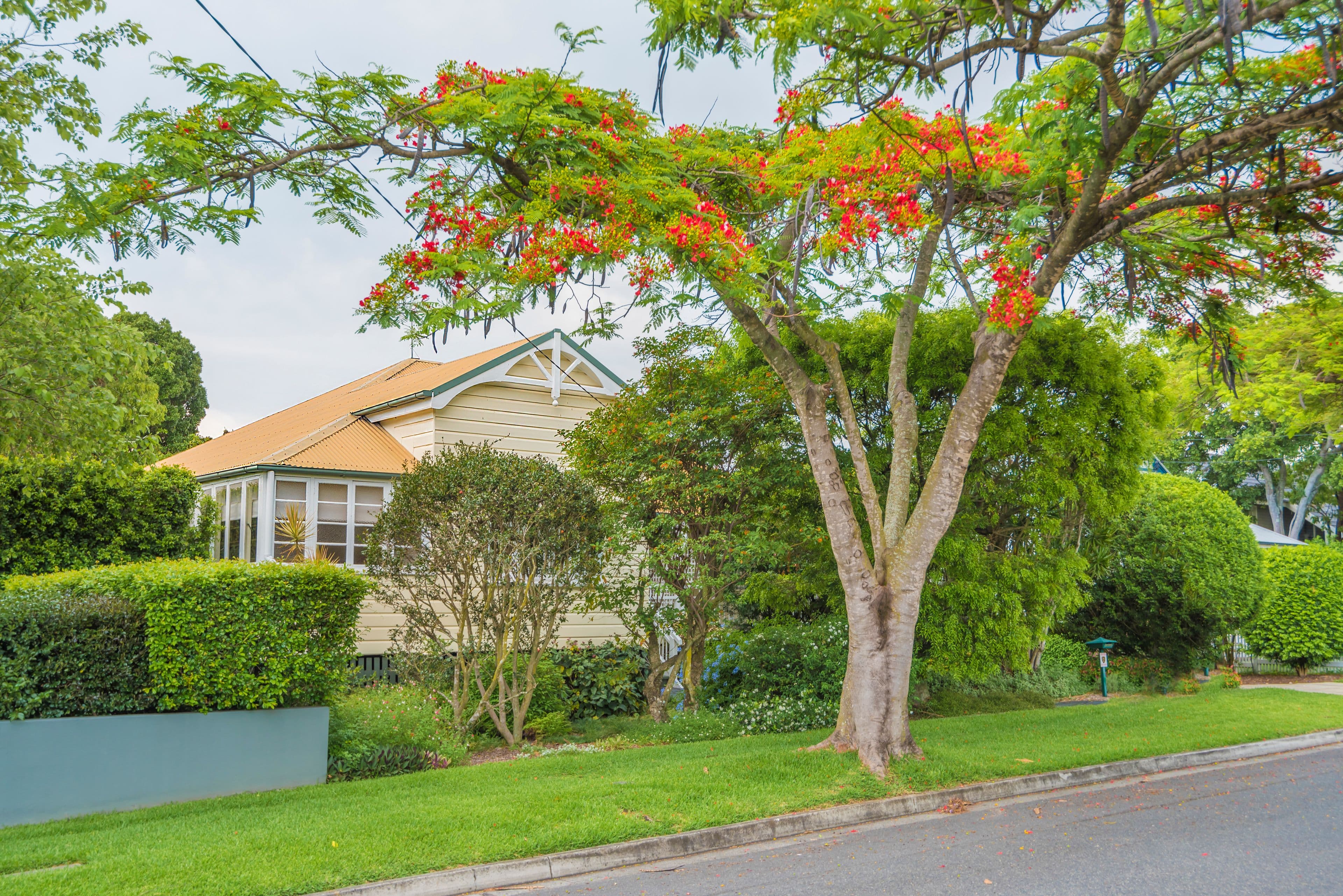 33 Sutherland Avenue, Ascot QLD 4007, Ascot - Image 1
