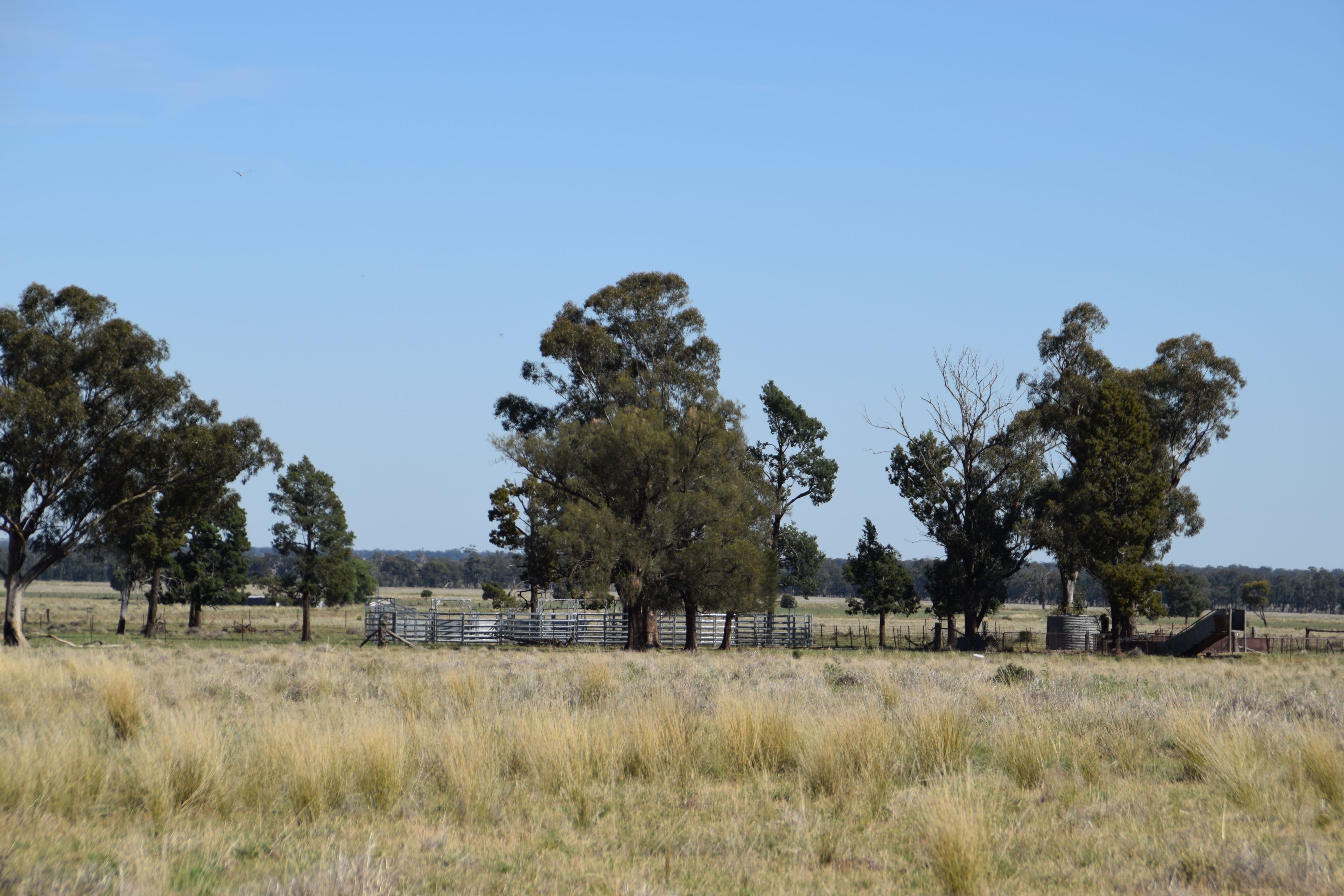 'Leawarra' Tomingley Road, Narromine NSW 2821, Narromine - Thumbnail 8