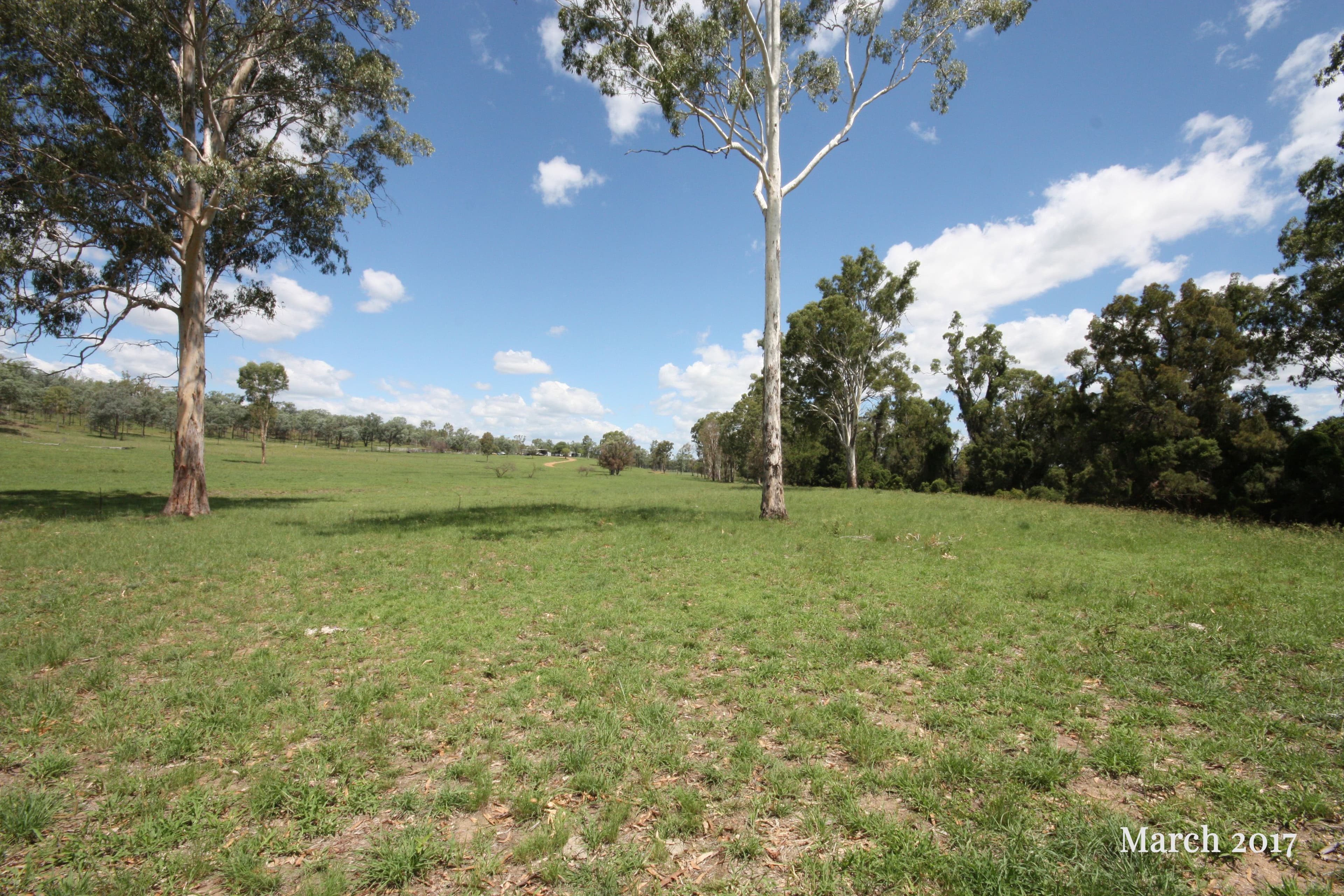 1421 Crowsdale Camboon Road, Prospect QLD 4715, Prospect - Thumbnail 3
