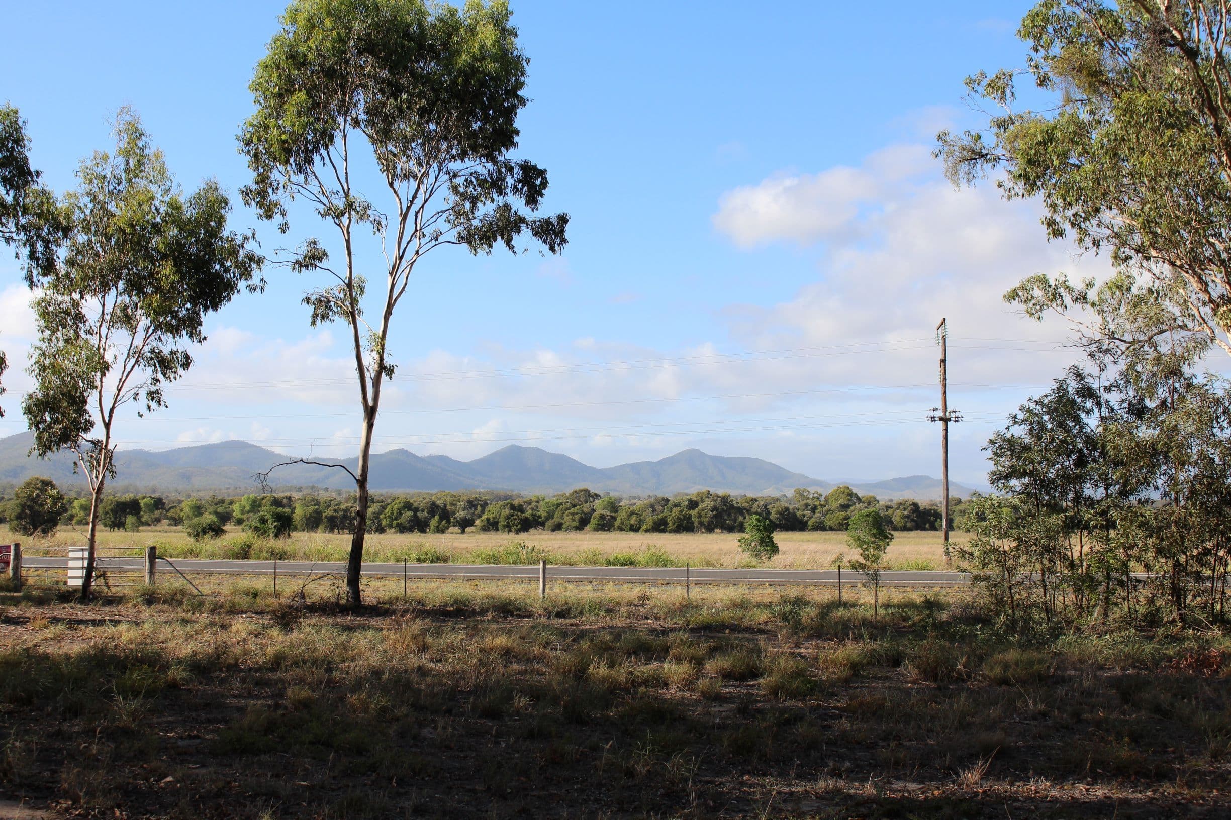 Lot 171 Bruce Highway, MARMOR QLD 4702, Marmor - Image 1