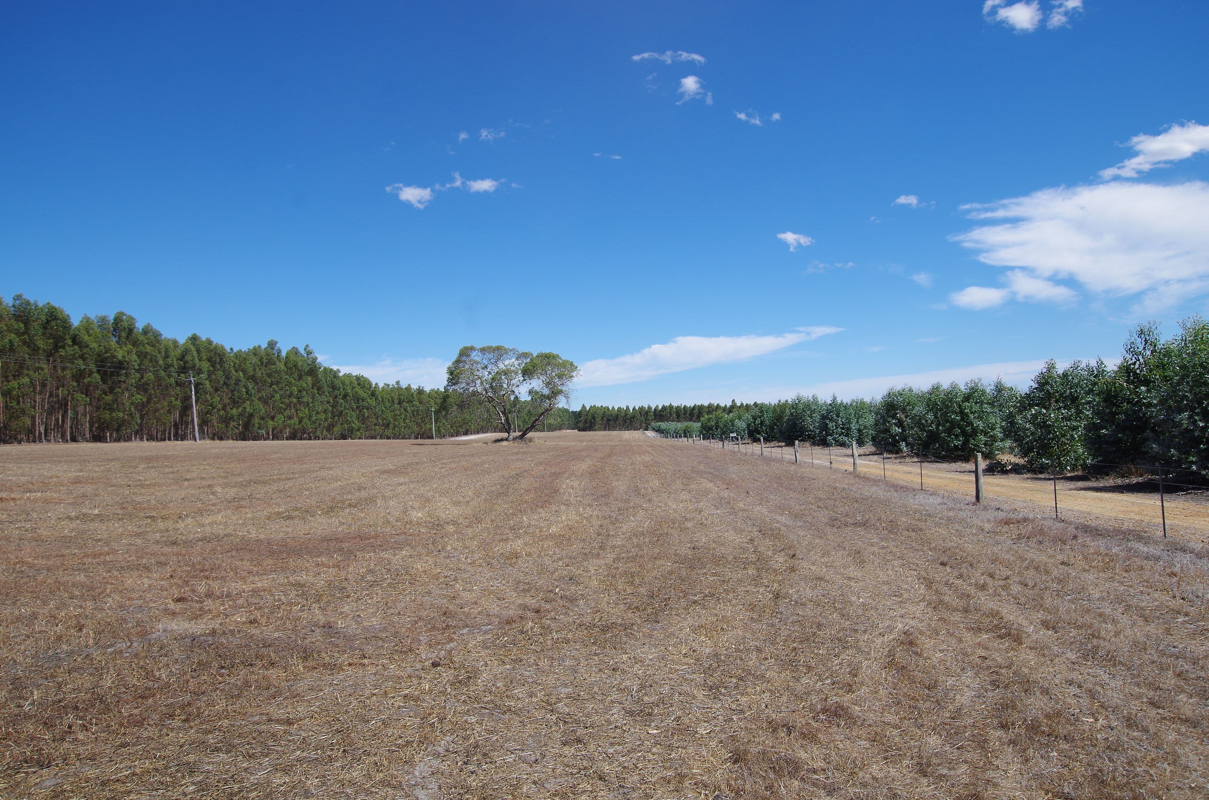 5709 Watermans Road, Mount Barker WA 6324, Mount Barker - Thumbnail 3