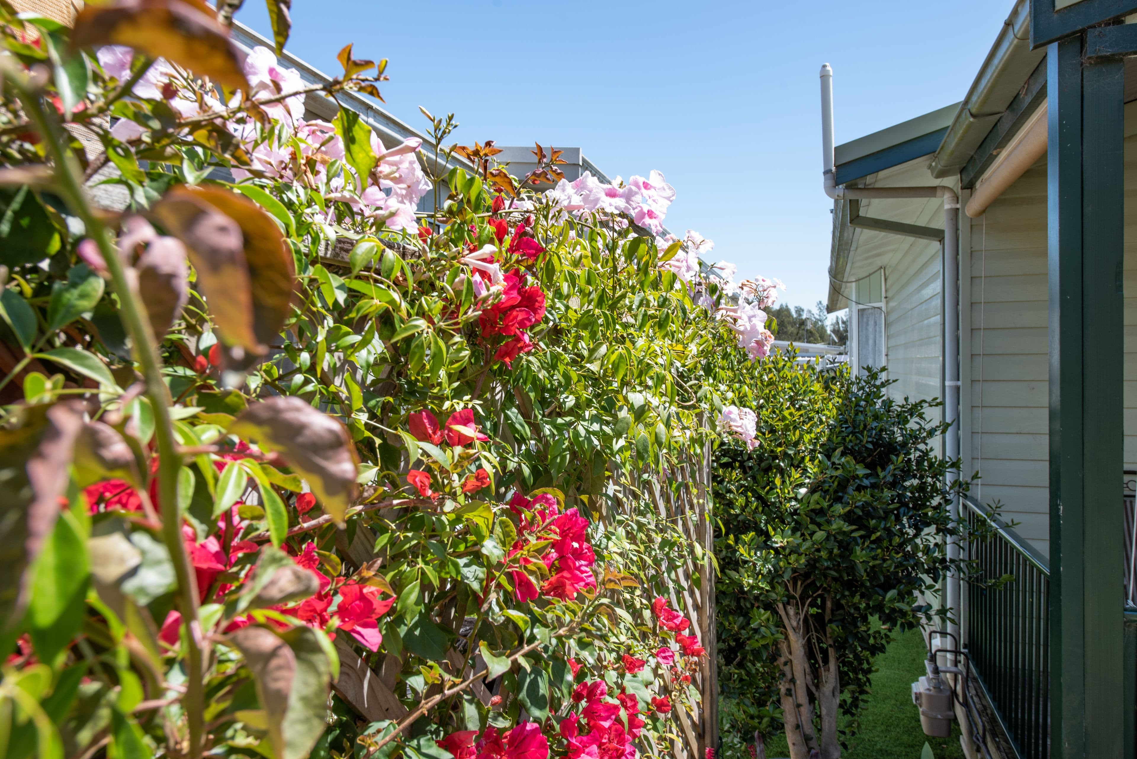 4 Gimberts Road, Morisset NSW 2264, Morisset - Thumbnail 5