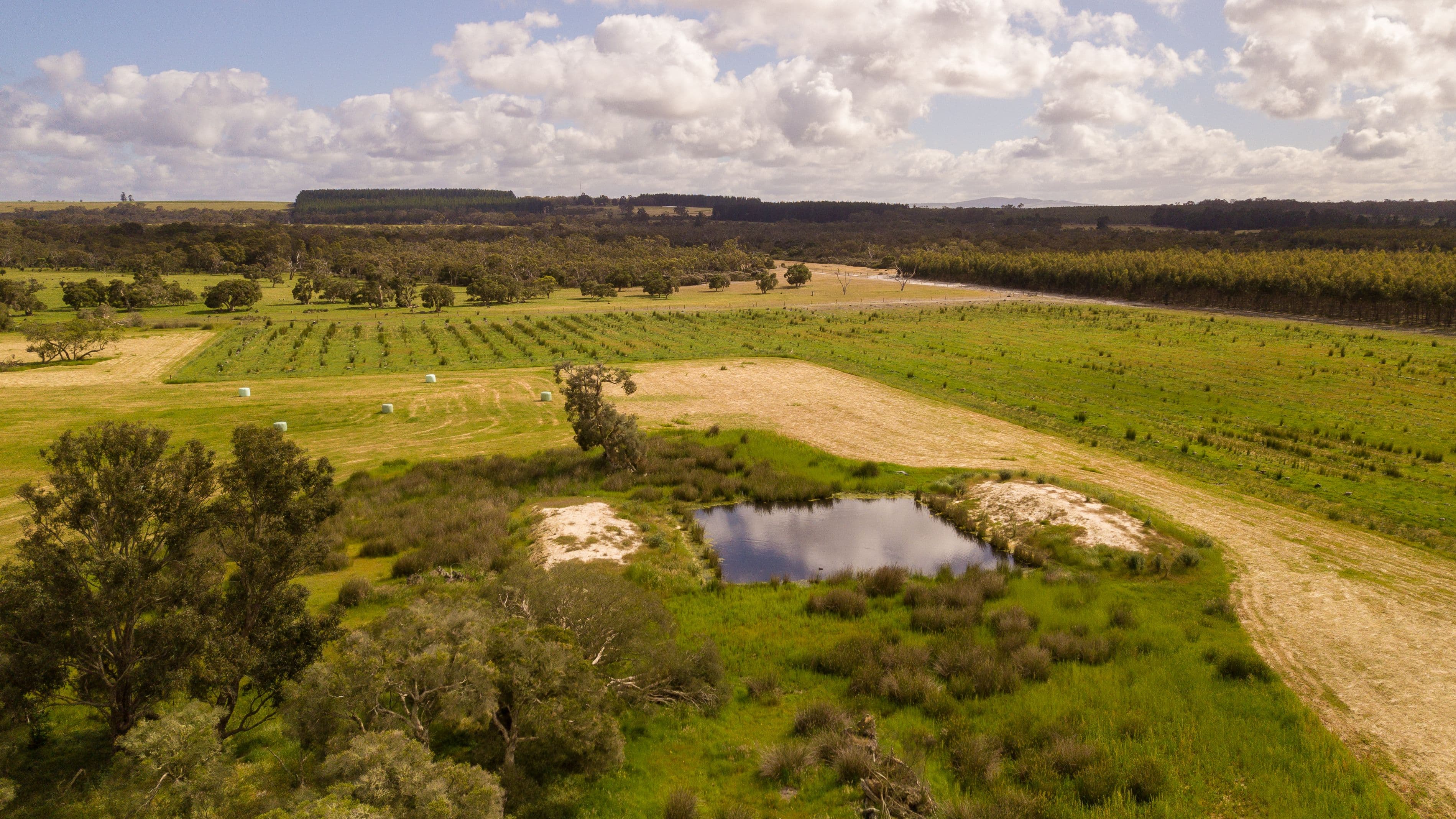 258 Greeuw Road, Narrikup WA 6326, Narrikup - Thumbnail 8