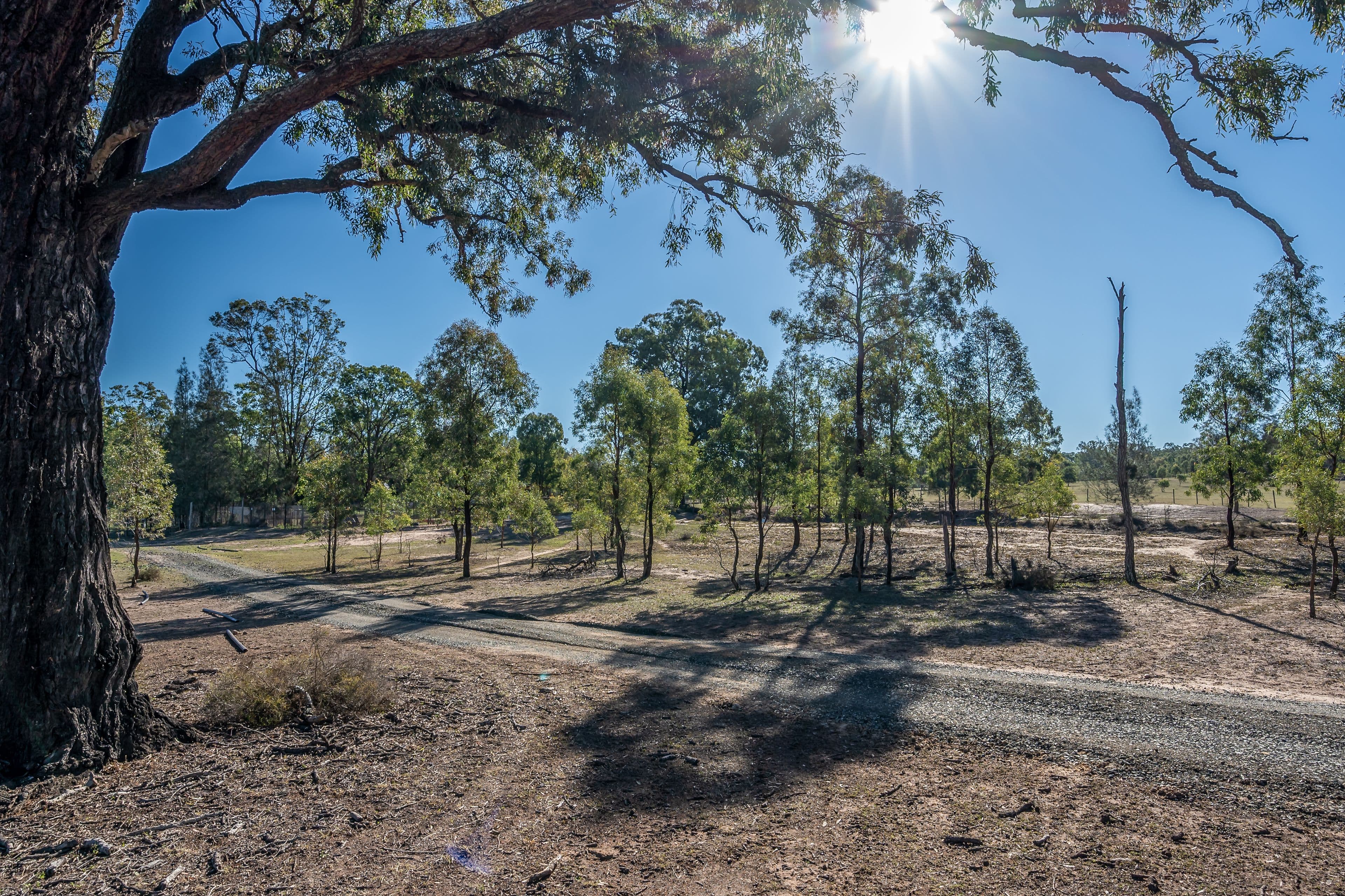 Singleton NSW 2330, Singleton - Thumbnail 2