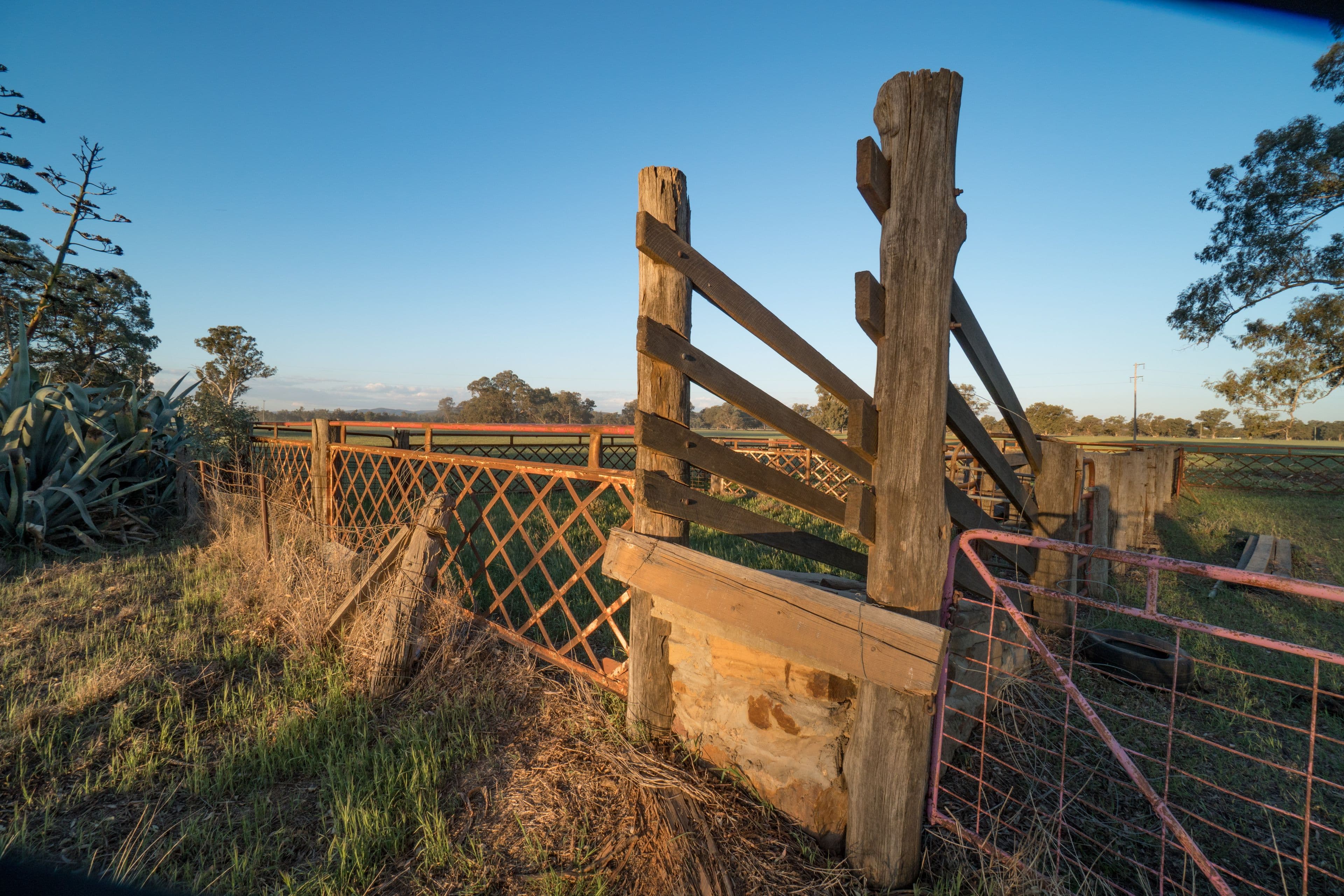 4259 Lachlan Valley Way, Gooloogong NSW 2805, Gooloogong - Thumbnail 8