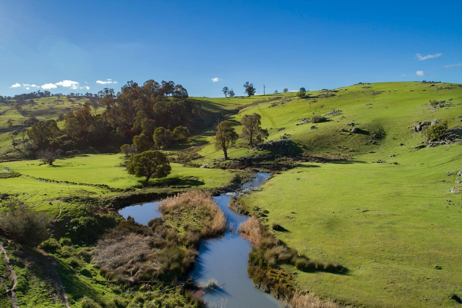 110 Tumbarumba Creek Road, Tumbarumba NSW 2653, Tumbarumba - Thumbnail 6