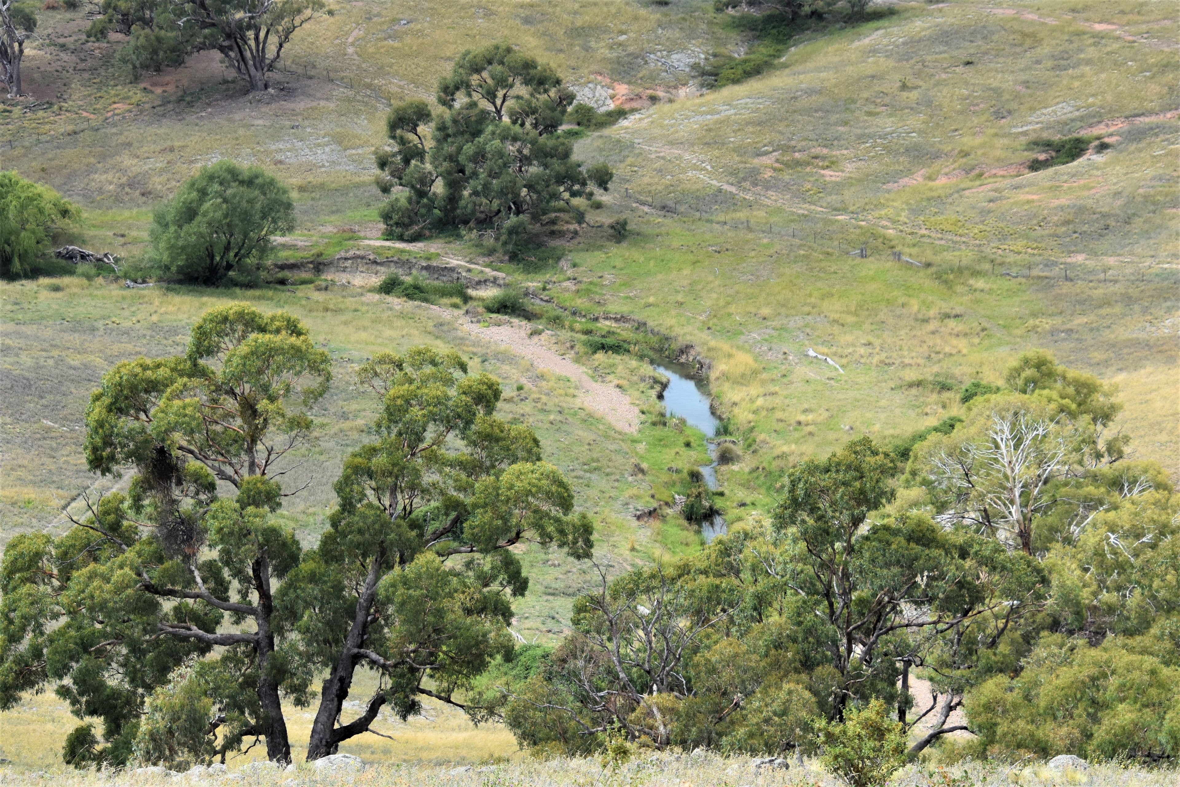 2727 Limekilns Road, Limekilns NSW 2795, Limekilns - Image 1