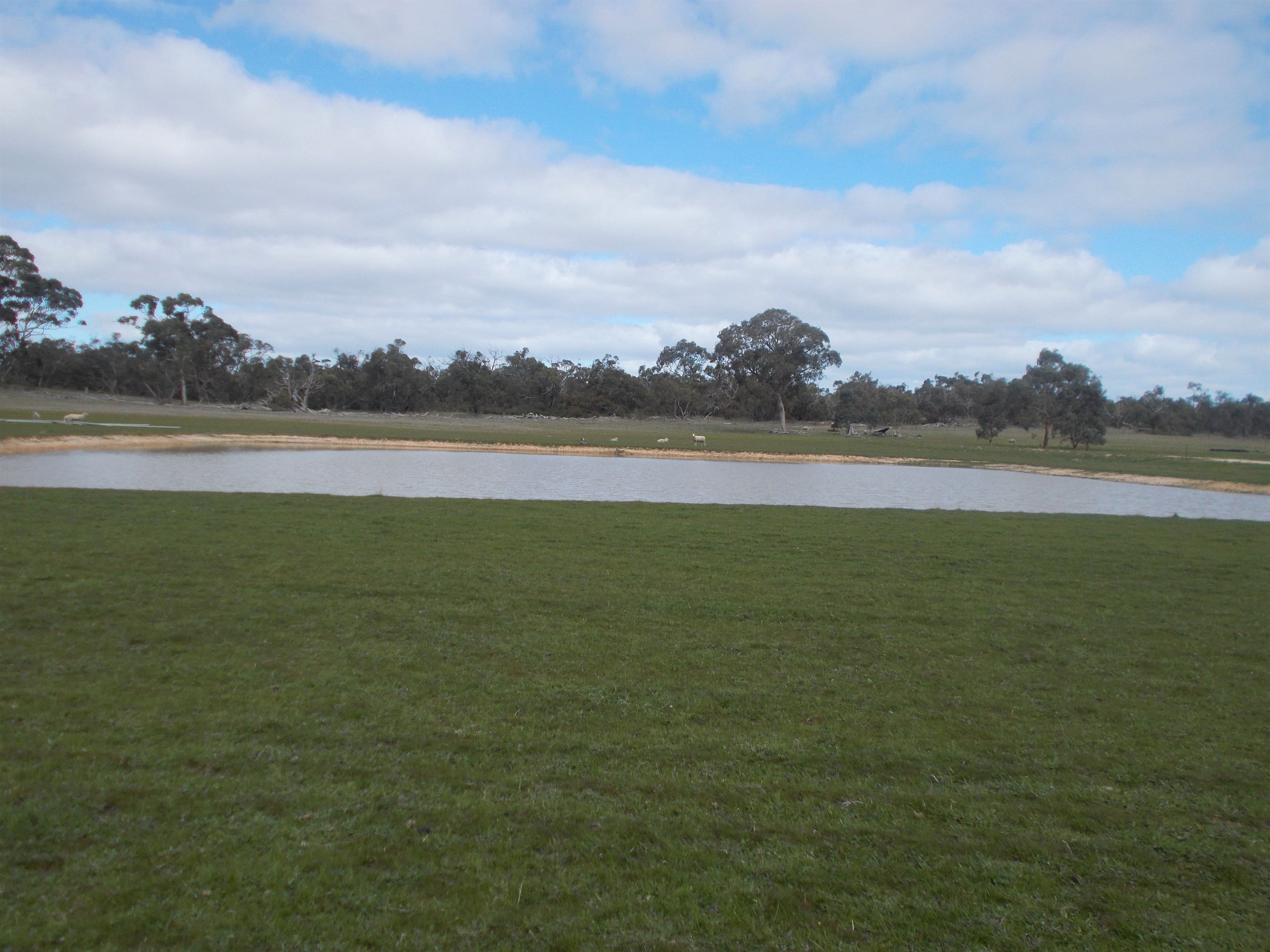 500 Bangham Road, CUSTON SA 5269, Custon - Thumbnail 2