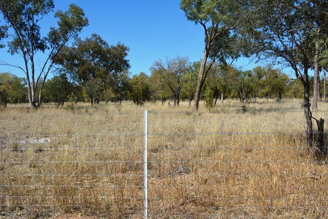 Lot 8 Frames Lane, Blackall QLD 4472, Blackall - Thumbnail 6