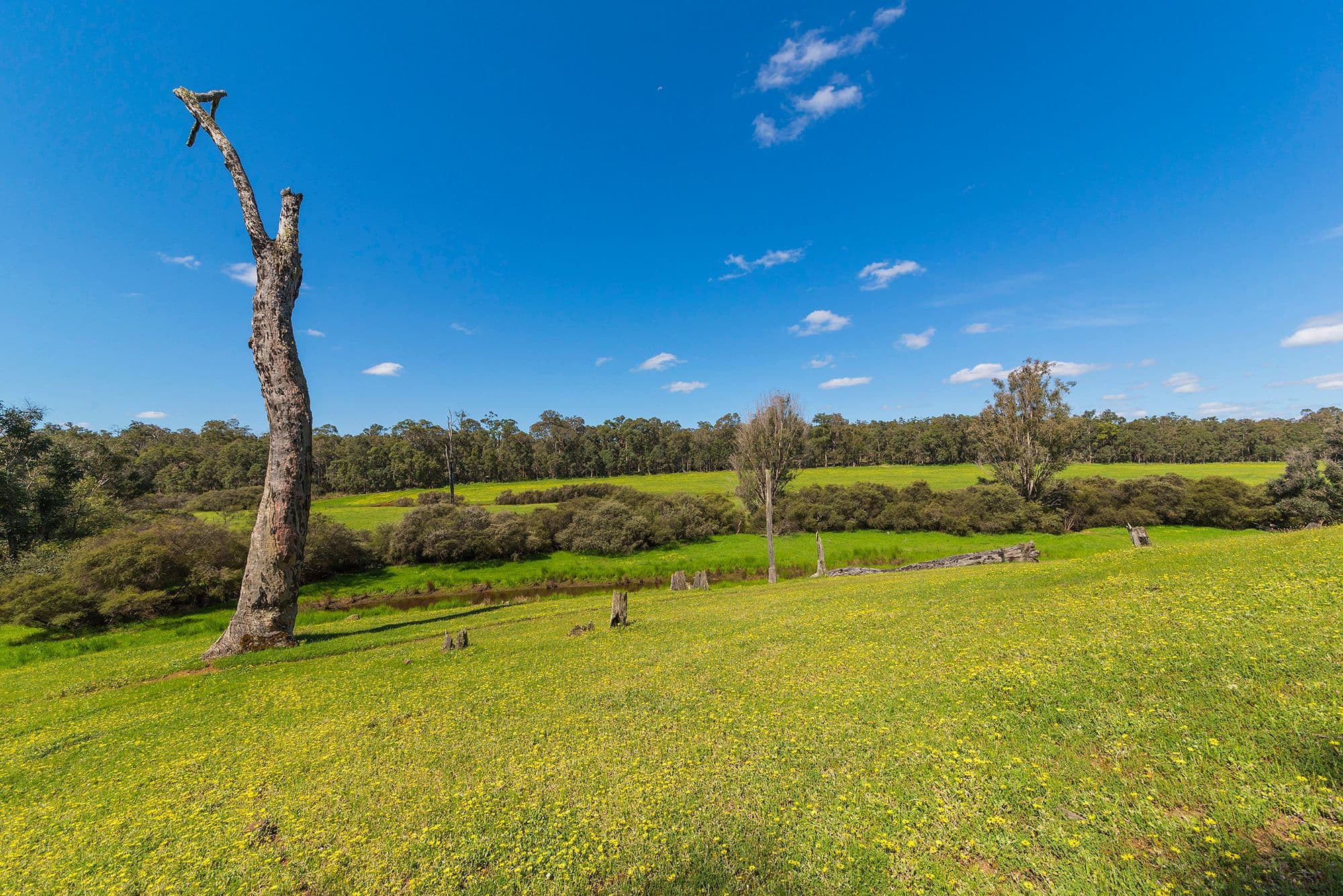 Nannup WA 6275, Nannup - Thumbnail 8