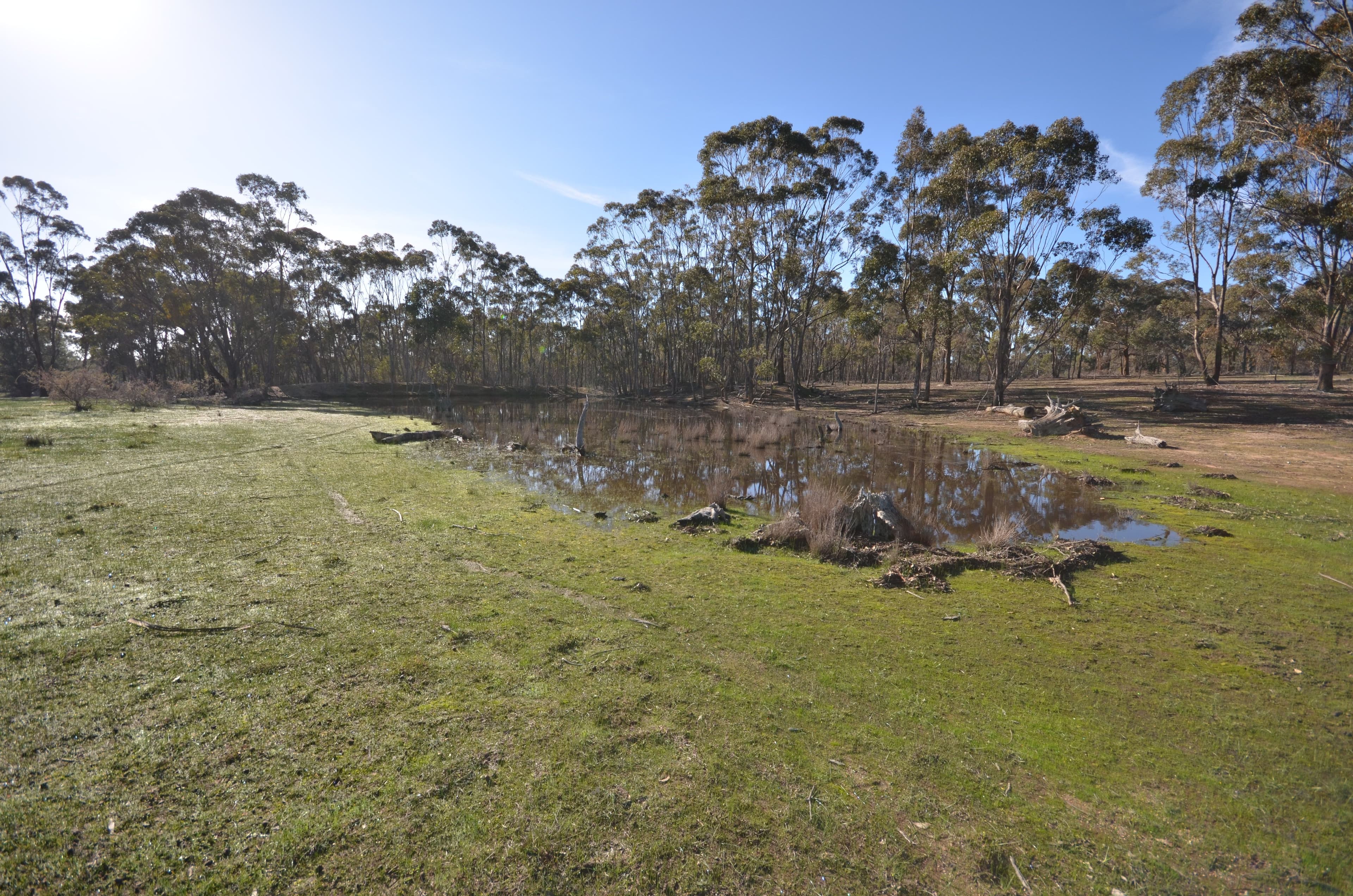 Lots 1 & 2 Lillicur West Road, Lamplough VIC 3352, Lamplough - Thumbnail 2