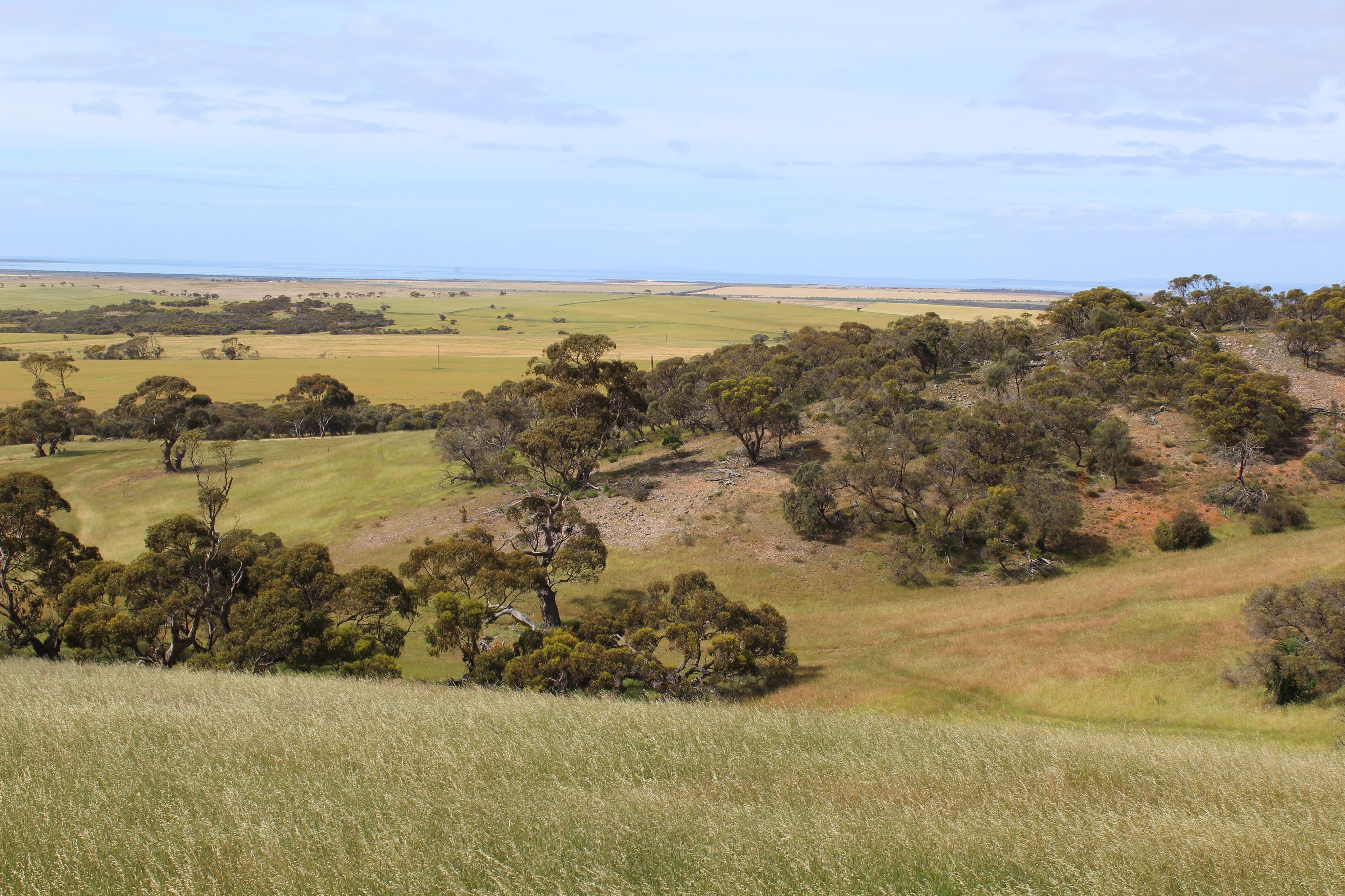 Lot 17 Foothills Road, Tumby Bay SA 5605, Tumby Bay - Thumbnail 4