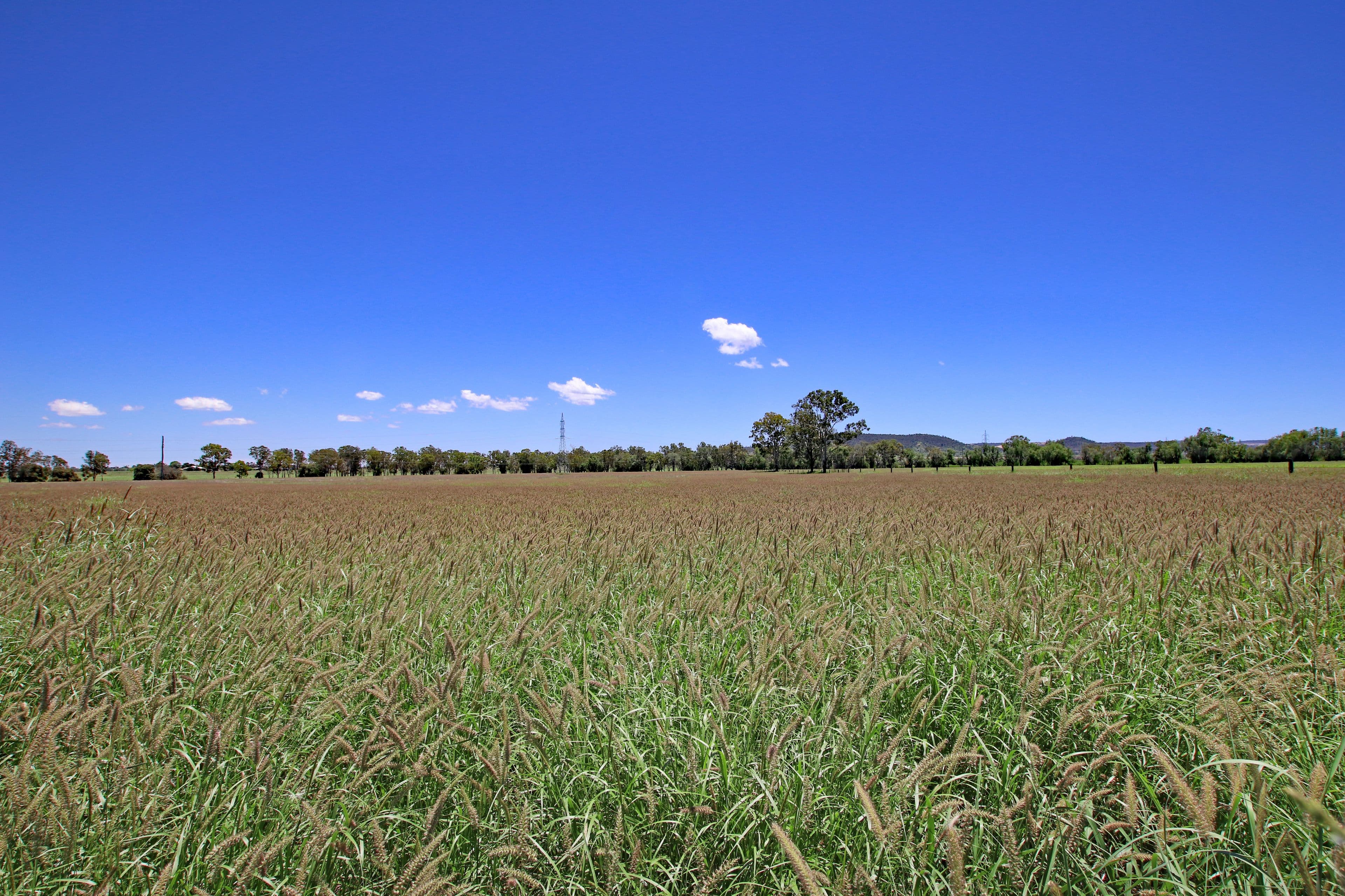 225 Biloela Callide Road, Mount Murchison QLD 4715, Mount Murchison - Image 1