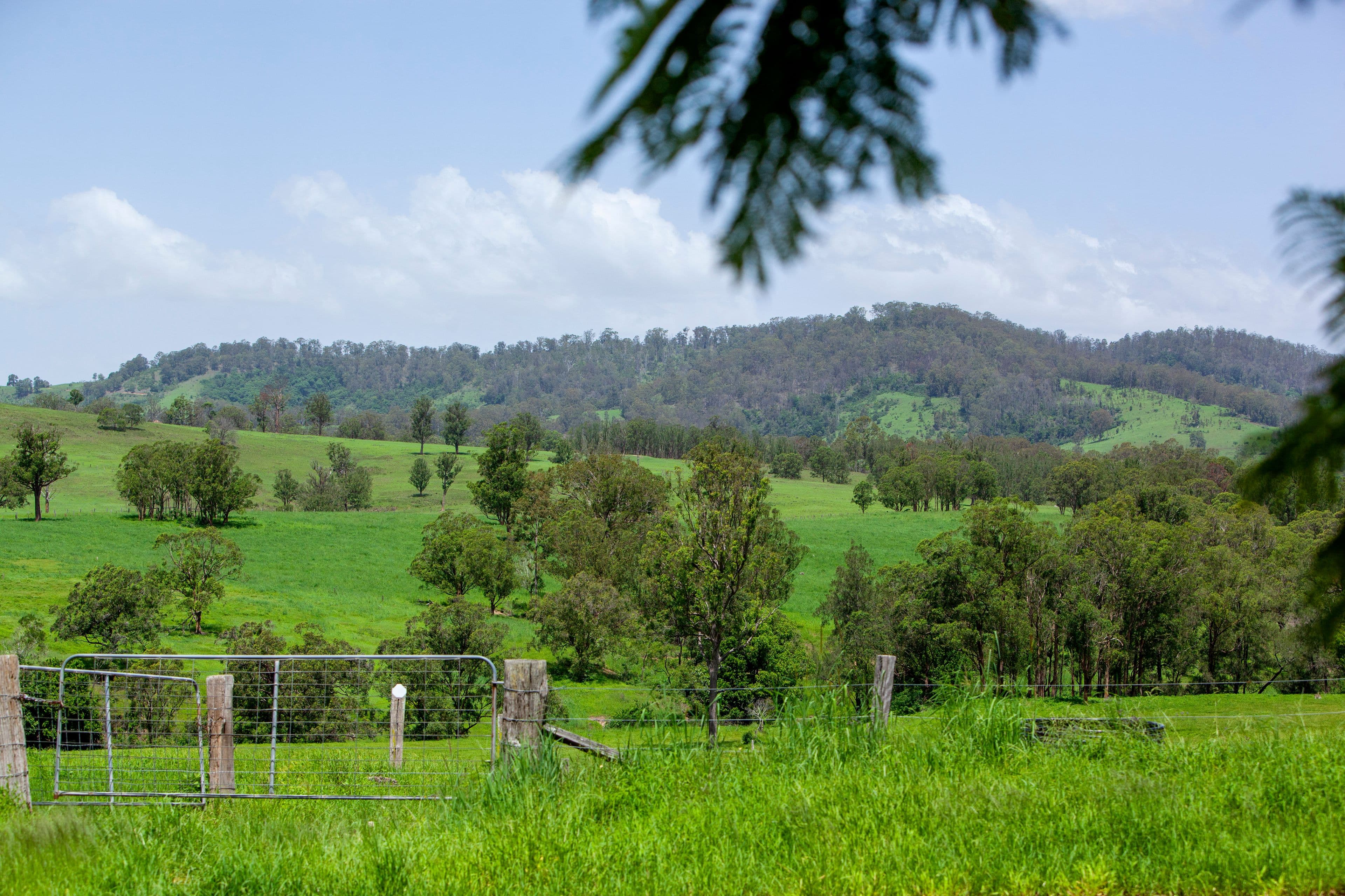 460 & 462 Kimbriki Road, Kimbriki NSW 2429, Kimbriki - Image 1