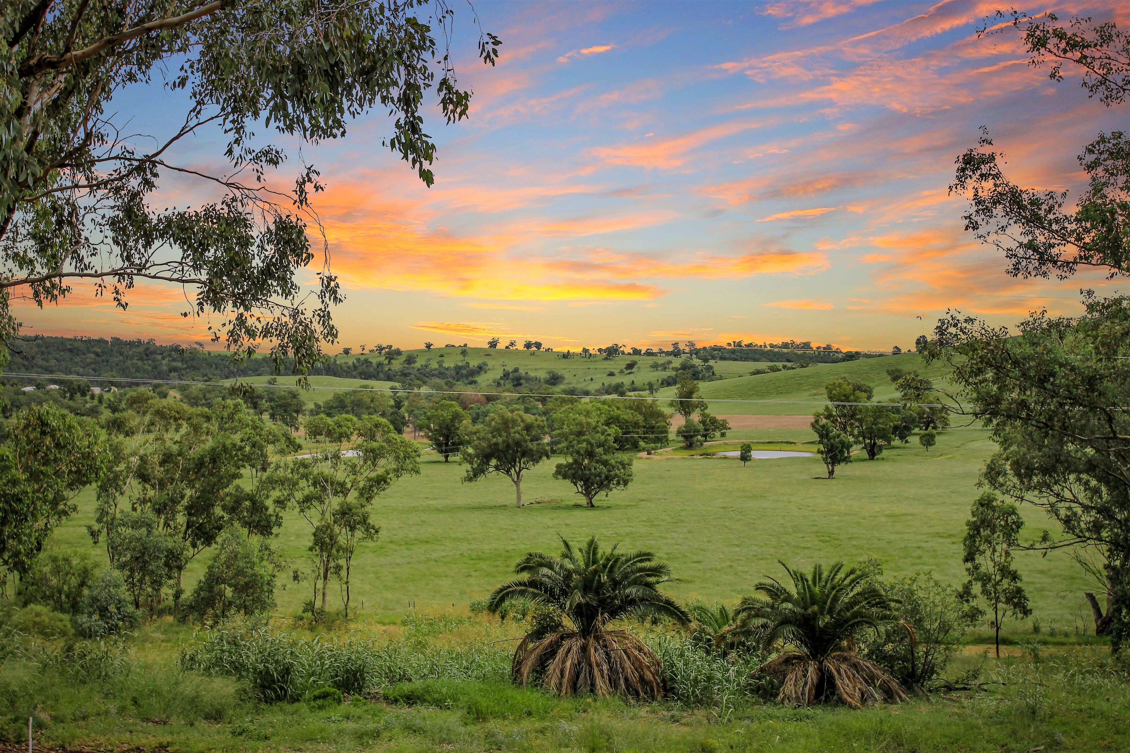 2 Johns Avenue, Quirindi NSW 2343, Quirindi - Thumbnail 3