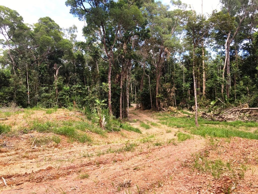 Lot 4 Forest Creek Road, Daintree, Forest Creek QLD 4873, Forest Creek - Thumbnail 3