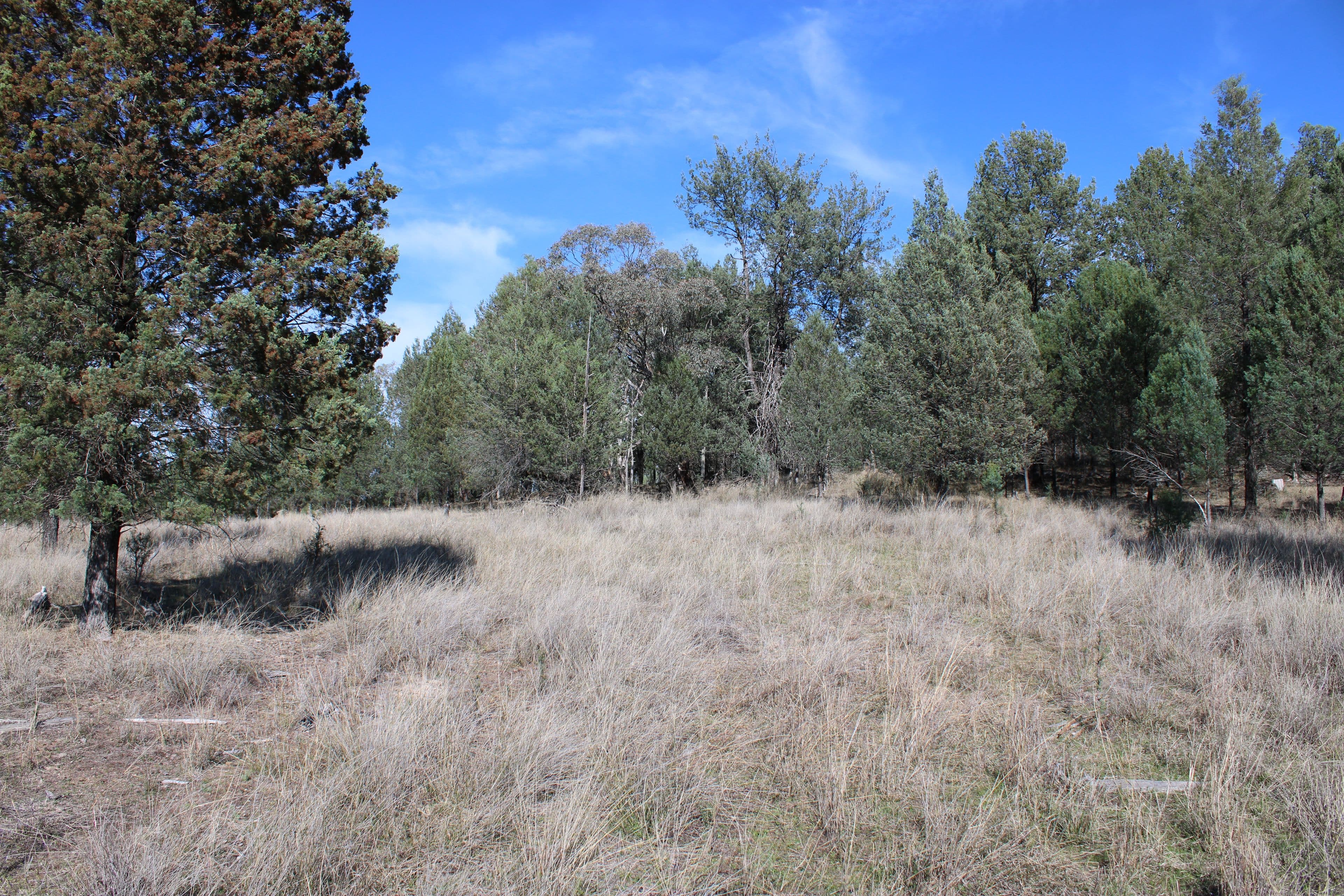 Inverell NSW 2360, Inverell - Thumbnail 5
