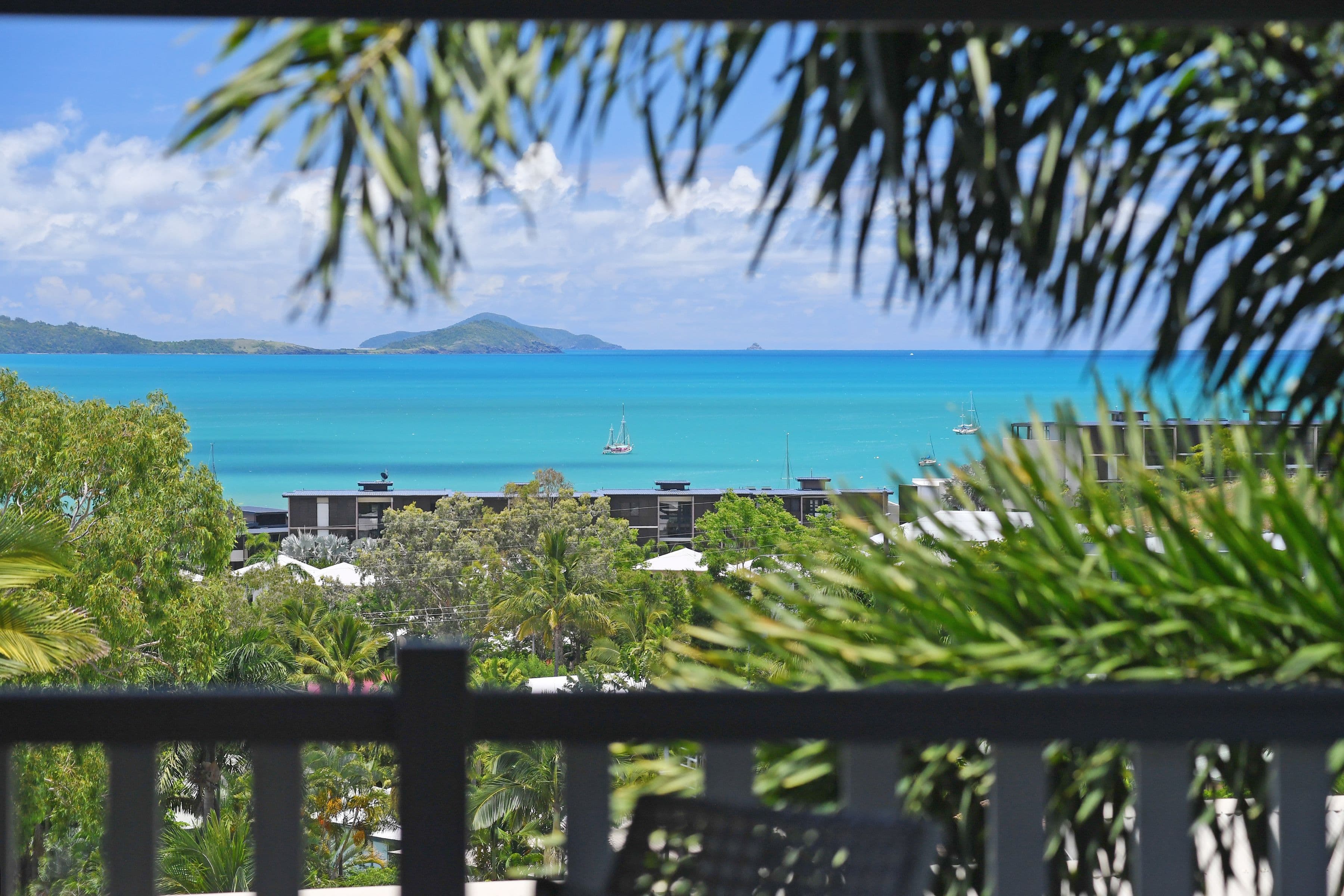 59 Eshelby Drive, Cannonvale QLD 4802, Cannonvale - Thumbnail 3