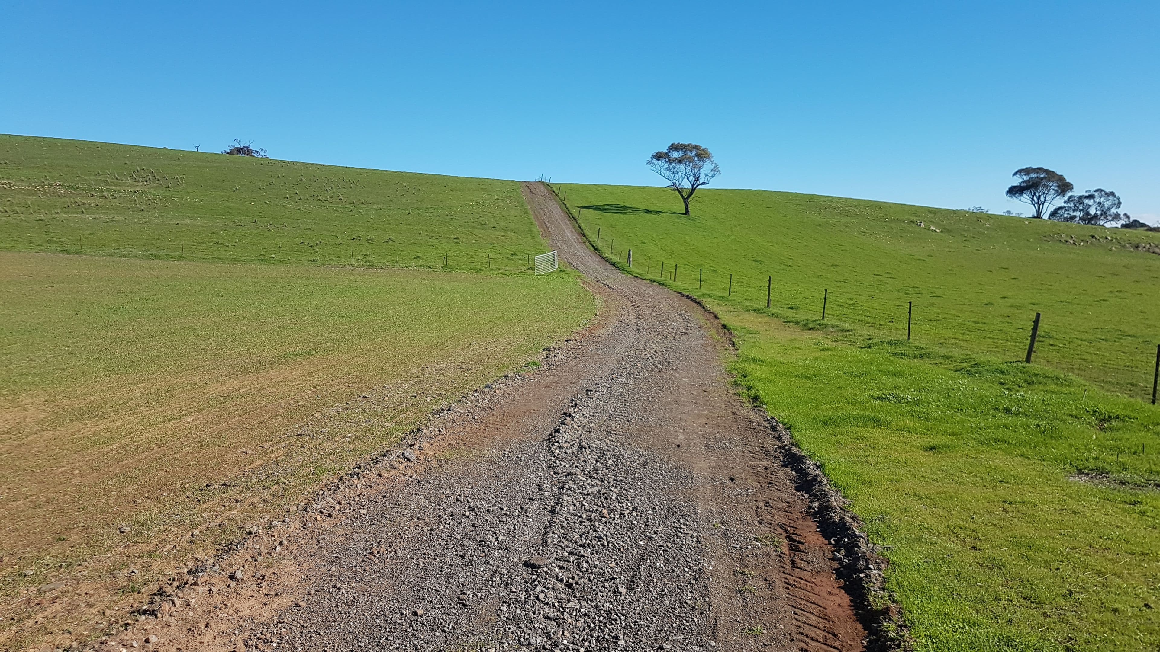 'Rosedale' - Lot 90 Rosedale Scenic Road, Lyndoch SA 5351, Lyndoch - Thumbnail 4
