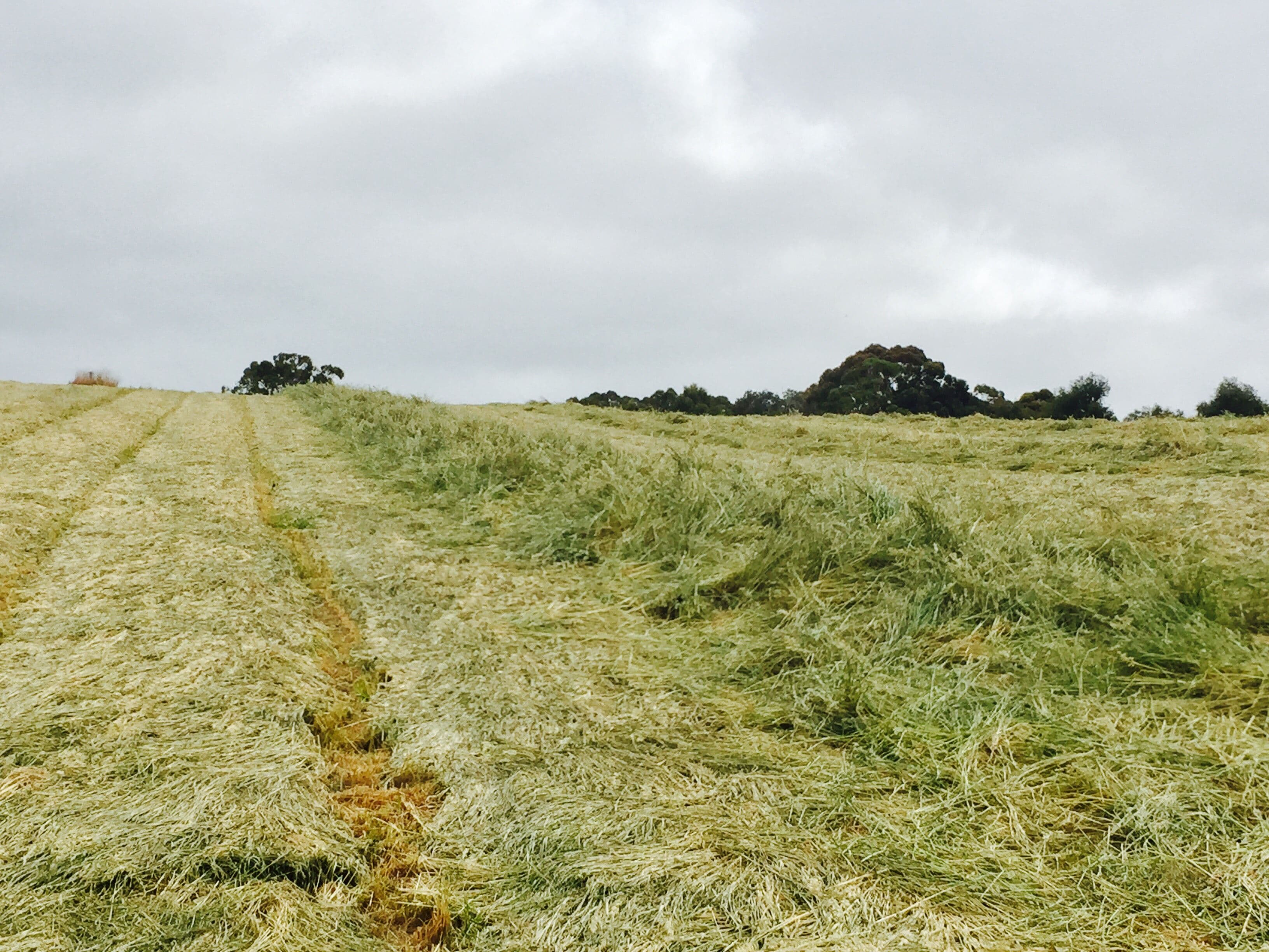 301 & 302 Old Princes Highway, Nairne SA 5252, Nairne - Thumbnail 6