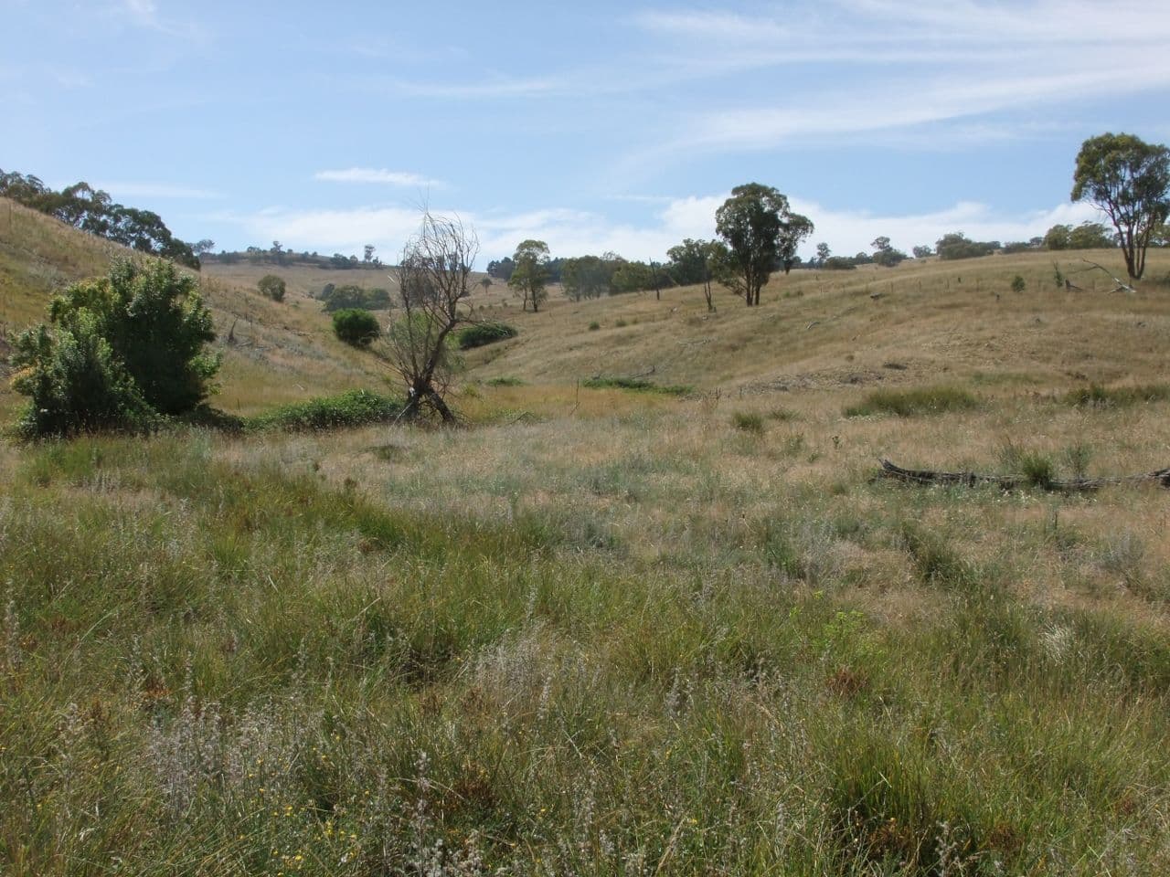 Sofala NSW 2795, Sofala - Thumbnail 3