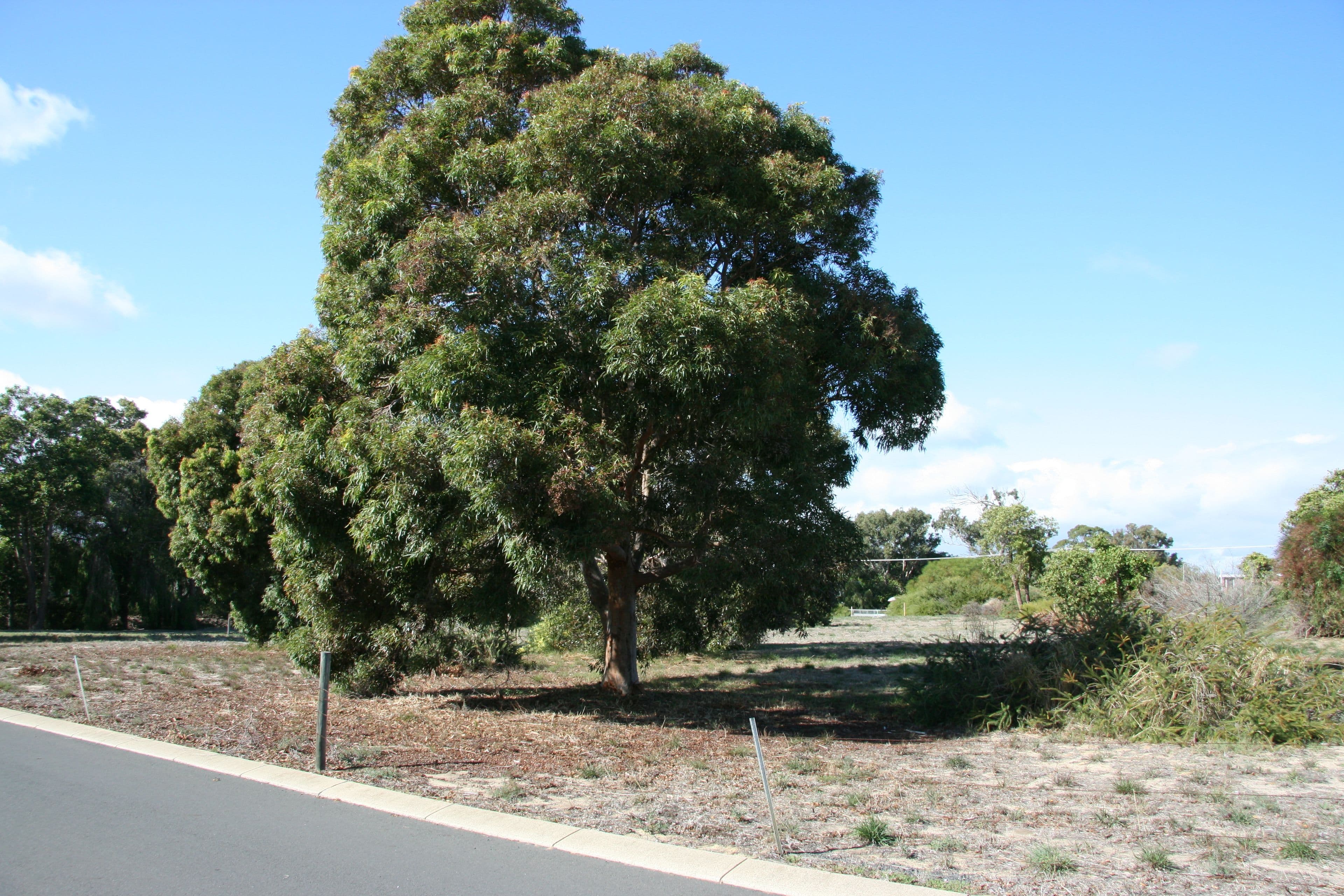 30 Goldsmith Street, South Bunbury WA 6230, South Bunbury - Thumbnail 6